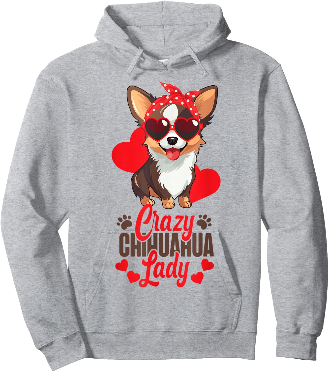 Chihuahua Chihuahueño Crazy Chihuahua Lady Hoodie - Hoodie | Ash