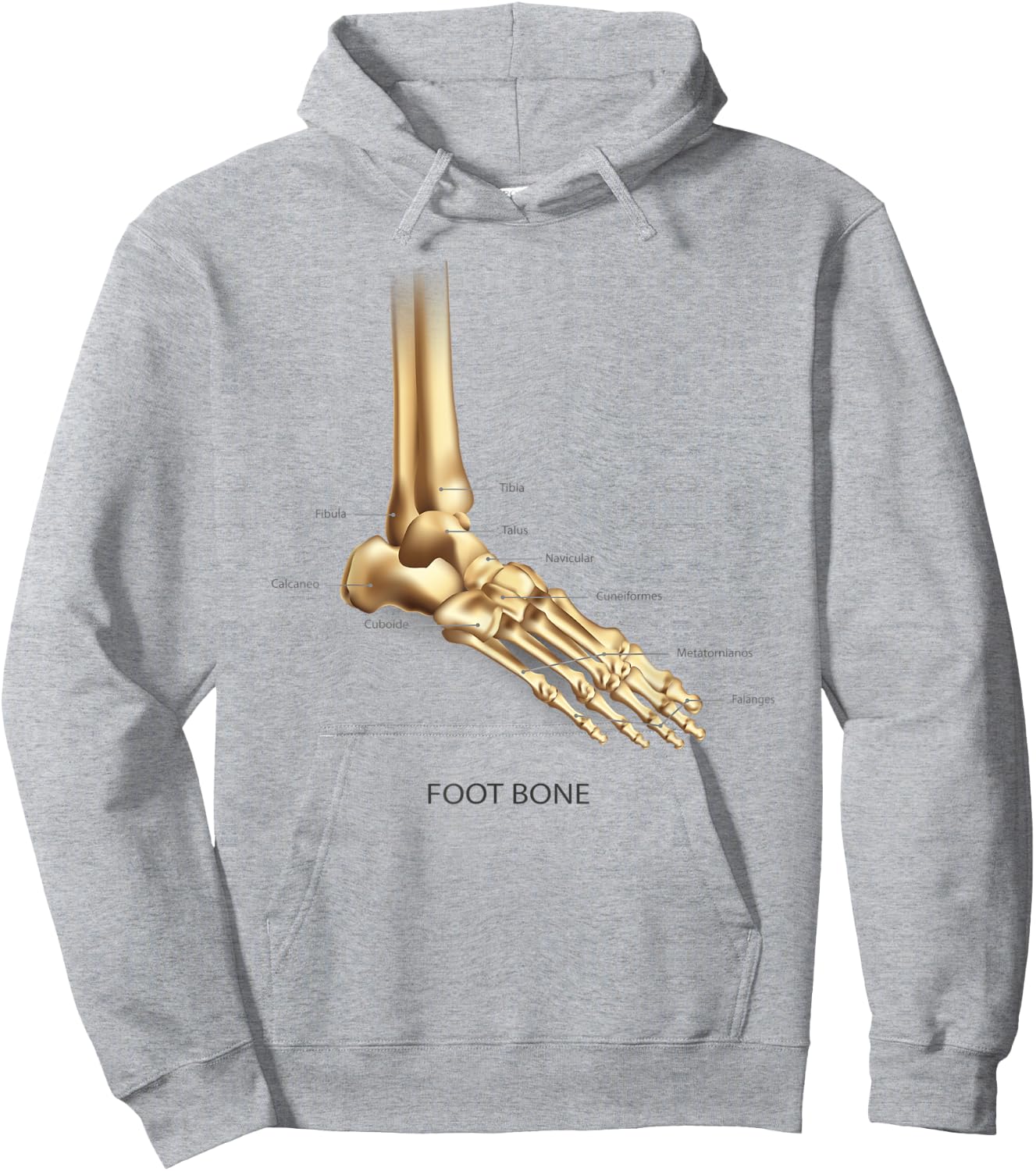 Funny Anatomy Foot Bon Human Anatomical Science Education Hoodie - Hoodie | Ash