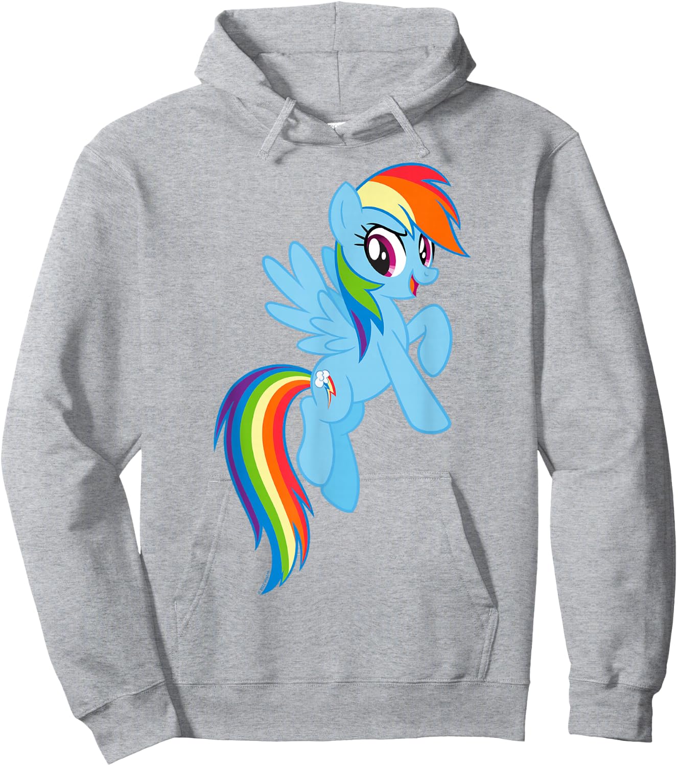 My Little Pony: Friendship is Magic Big Rainbow Dash Hoodie - Hoodie | Ash