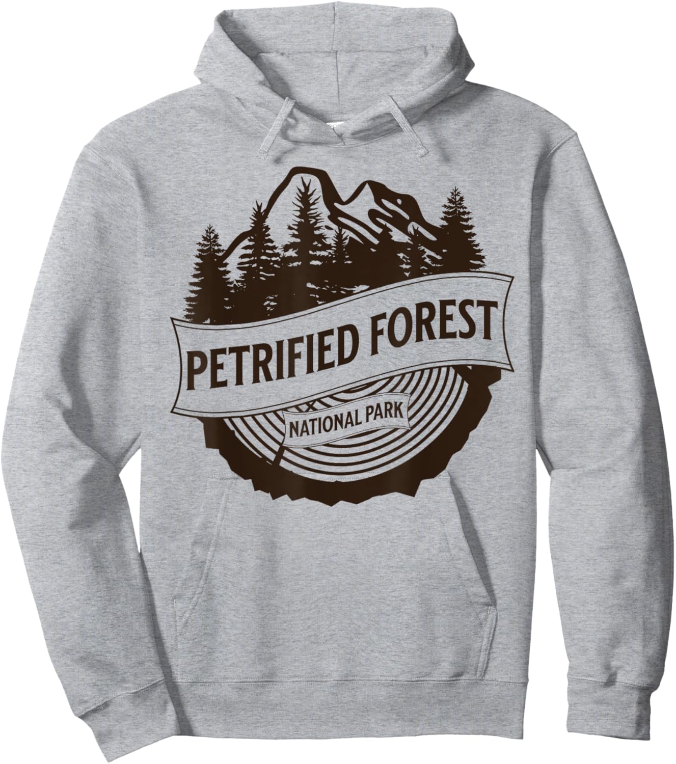 Petrified Forest National Park Hoodie - Hoodie | Ash