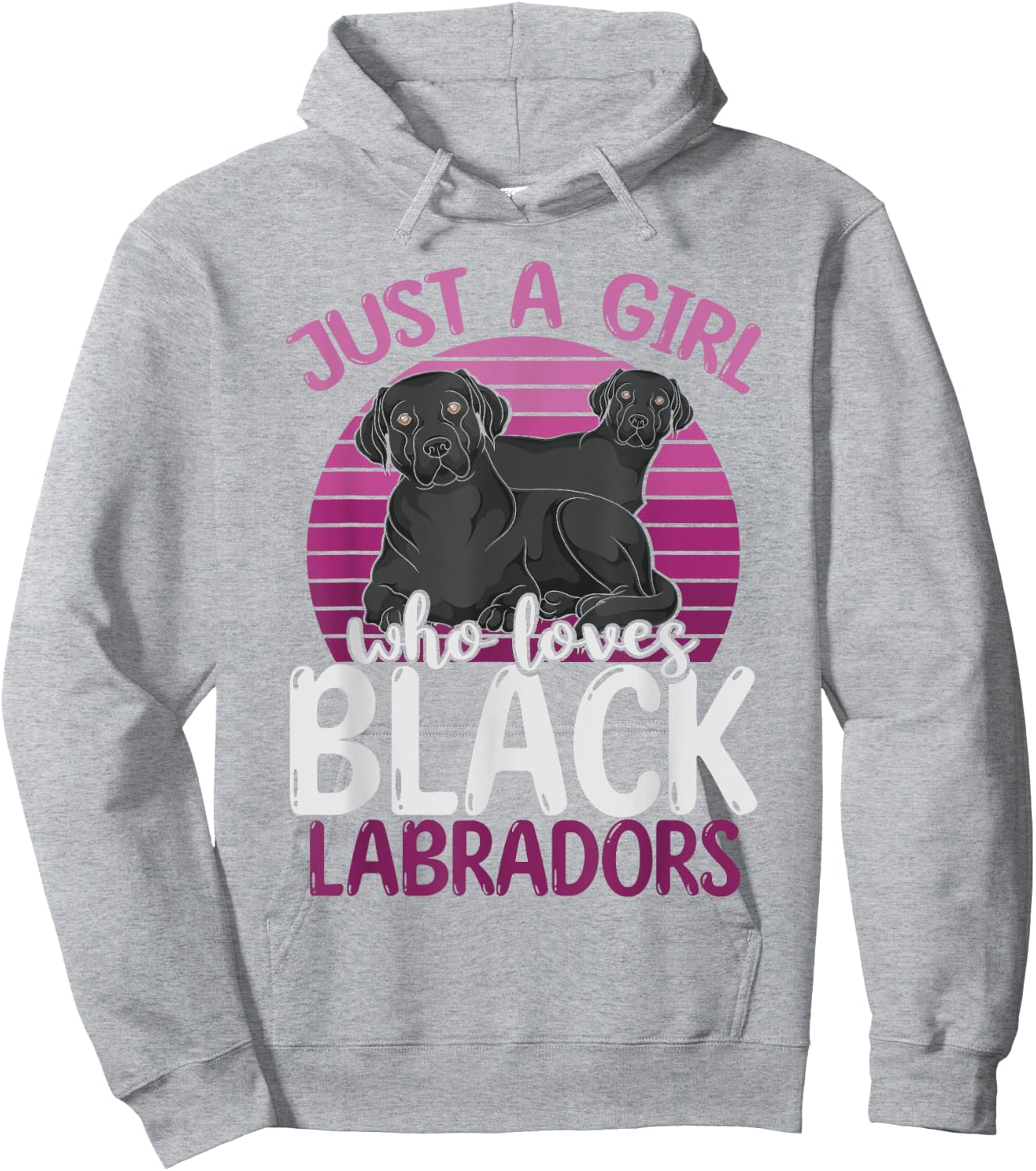 Black Lab Lover Women Just A Girl Who Loves Black Labradors Hoodie - Hoodie | Ash