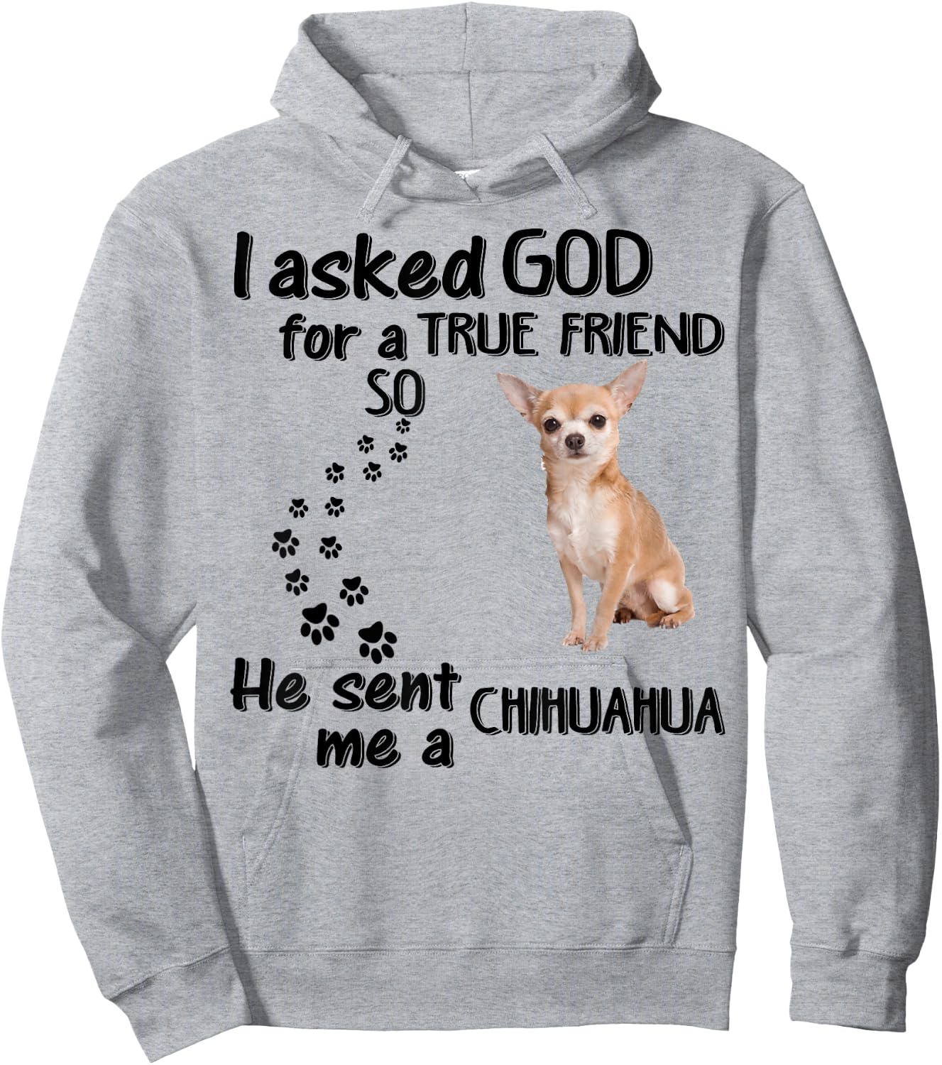 I Asked God For True Friend So He Sent Chihuahua Hoodie - Hoodie | Ash