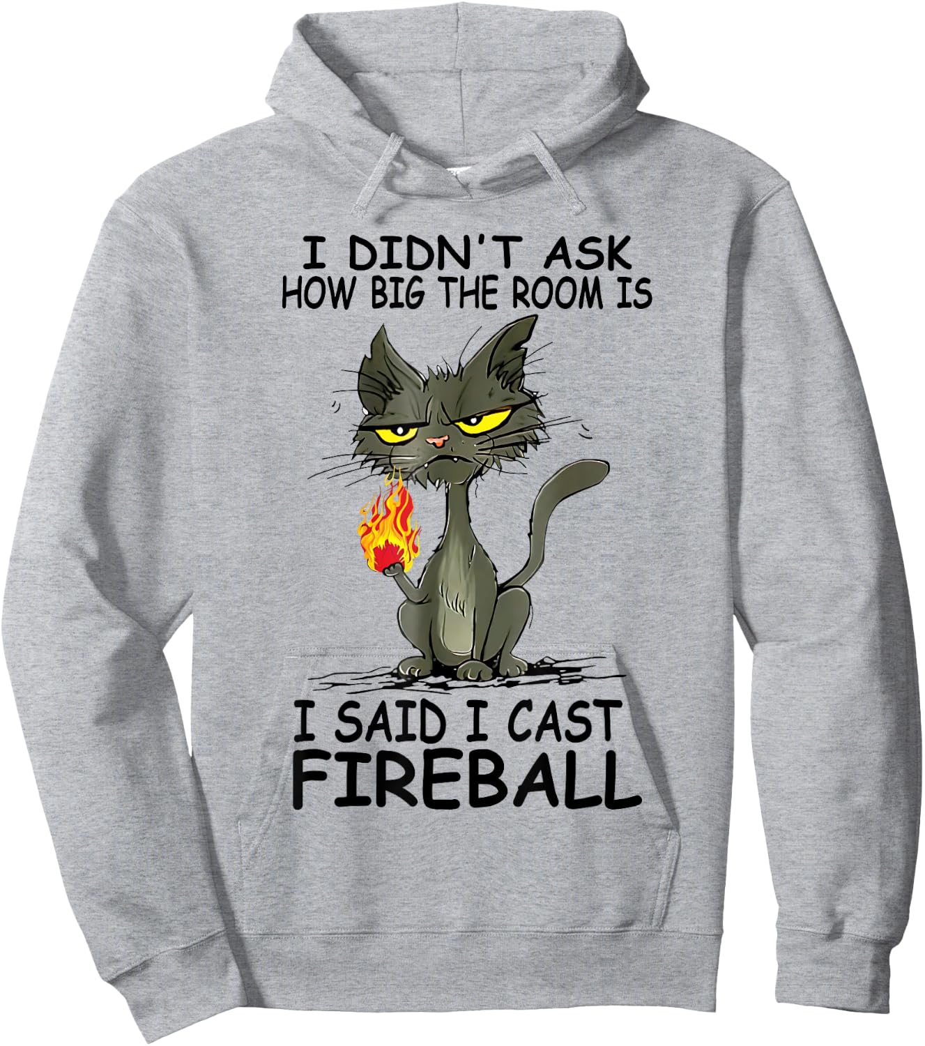 I Didn't Ask How Big The Rooms Is Said I Cast Fireballs Cat Women Hoodie - Hoodie | Ash