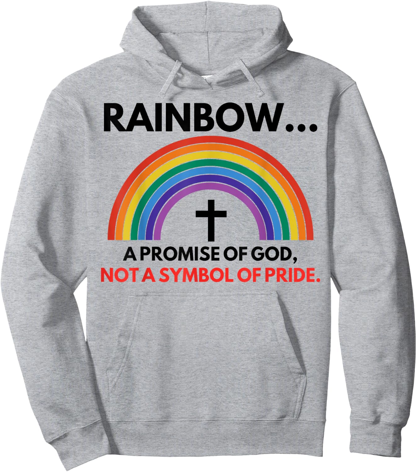 Rainbow A Promise Of God Not A Symbol Of Pride Hoodie - Hoodie | Ash