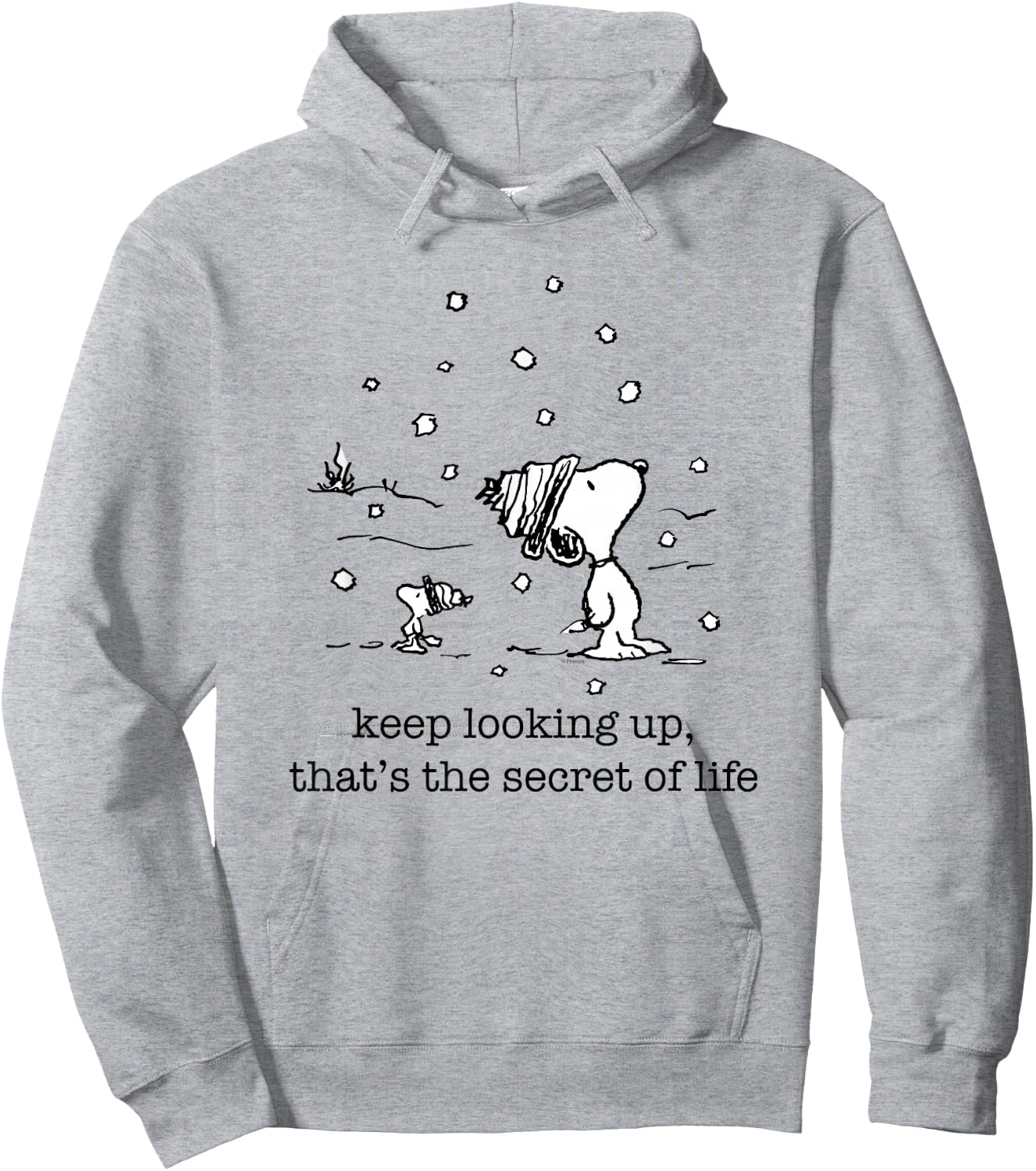 Peanuts - Snoopy and Woodstock Christmas Snowfall Hoodie - Hoodie | Ash