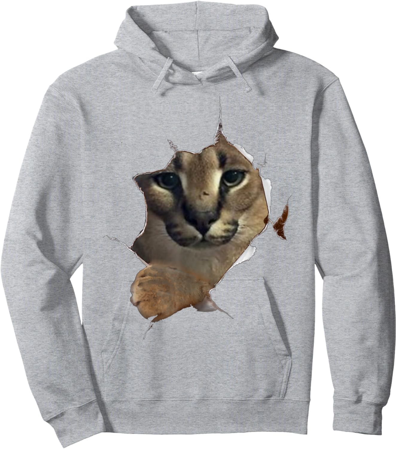 Big Floppa Meme Cat Hoodie - Hoodie | Ash