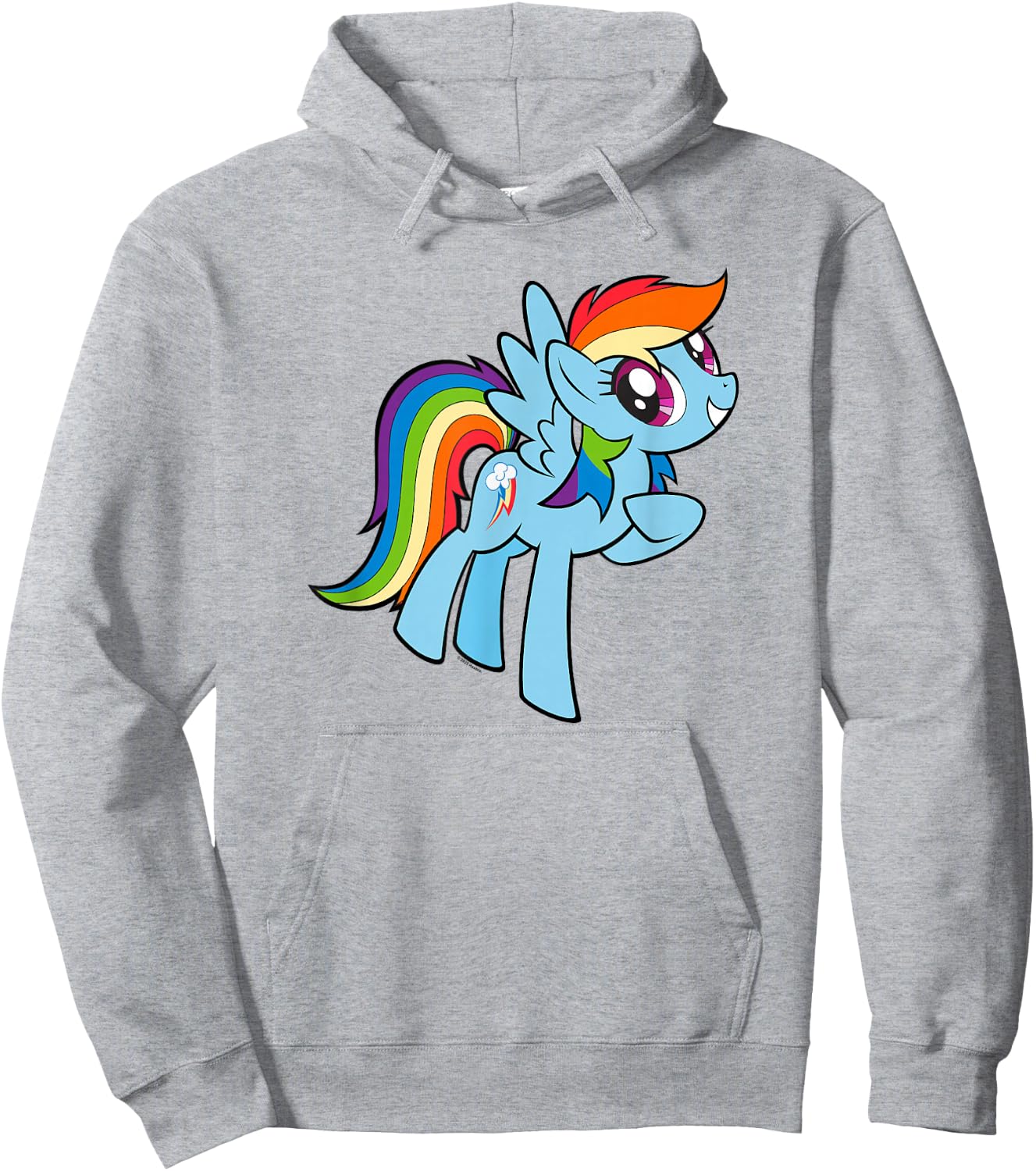 My Little Pony: Friendship is Magic Adorable Rainbow Dash Hoodie - Hoodie | Ash