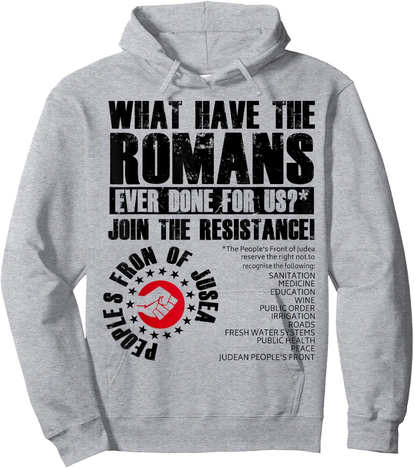 What Have The Romans Ever Done For Us Join The Resistance Hoodie - Hoodie | Ash