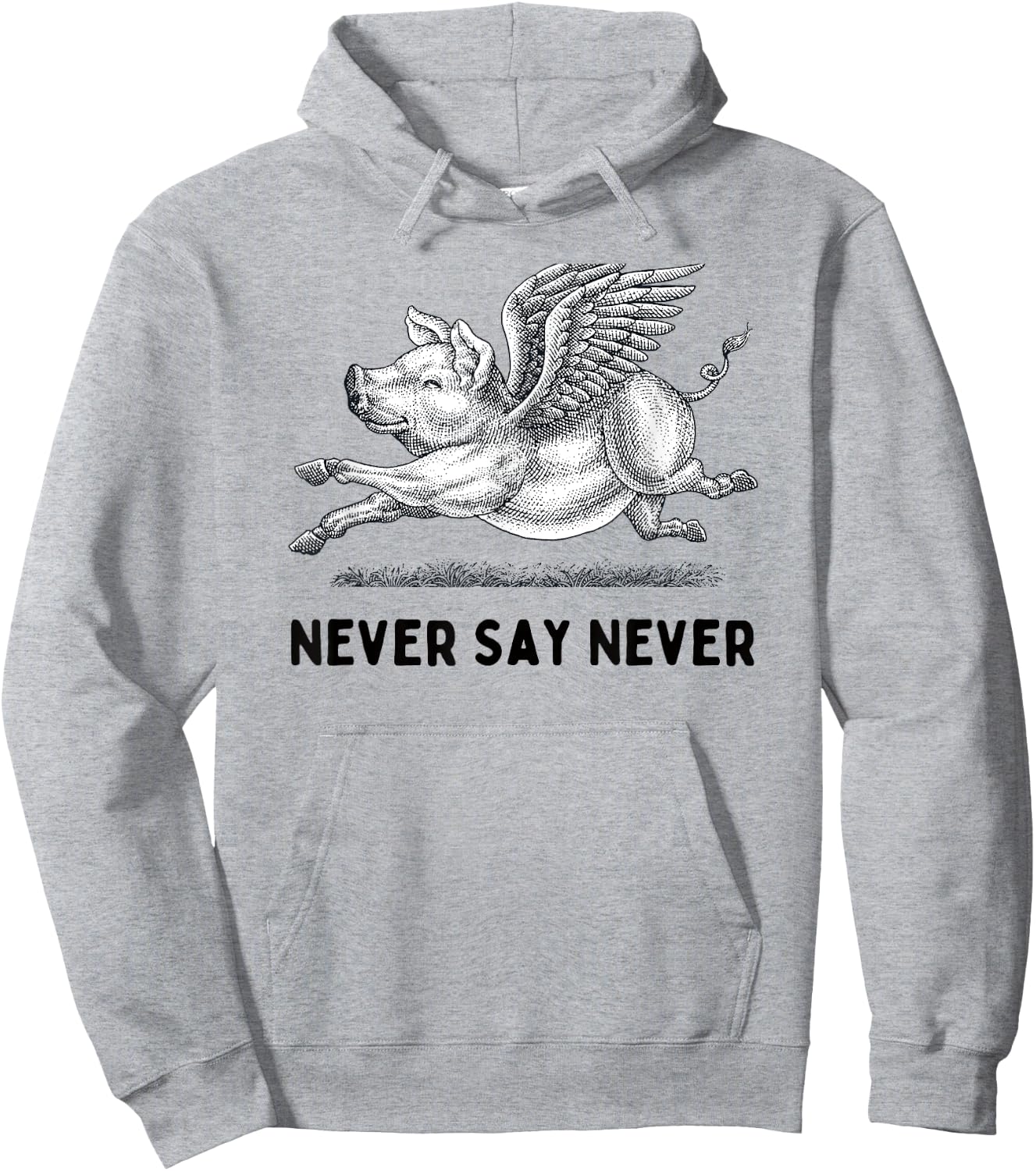 Never Say Never Inspiring Flying Pig Embrace Impossibity Hoodie - Hoodie | Ash