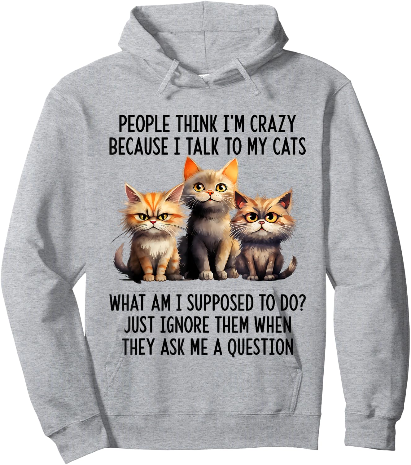 People Think I'm Crazy Because I Talk To My Cats Hoodie - Hoodie | Ash