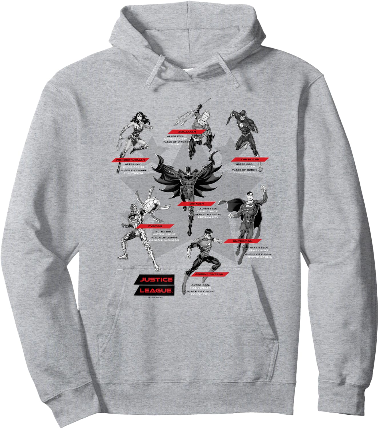DC Comics Justice League Group Shot Members Logo Hoodie - Hoodie | Ash