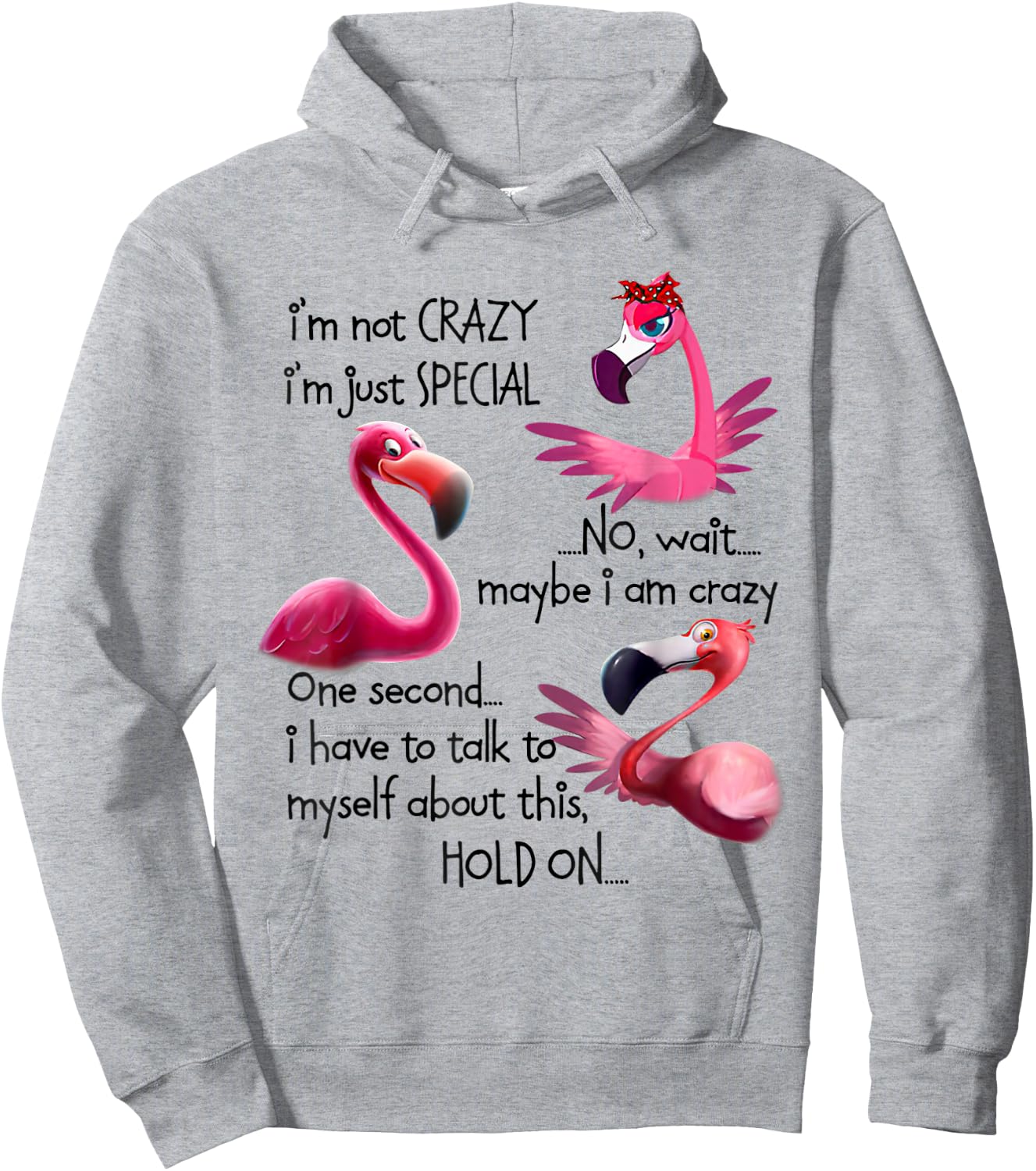 I'm Not Crazy I'm Just Special Funny Flamingo Saying Hoodie - Hoodie | Ash