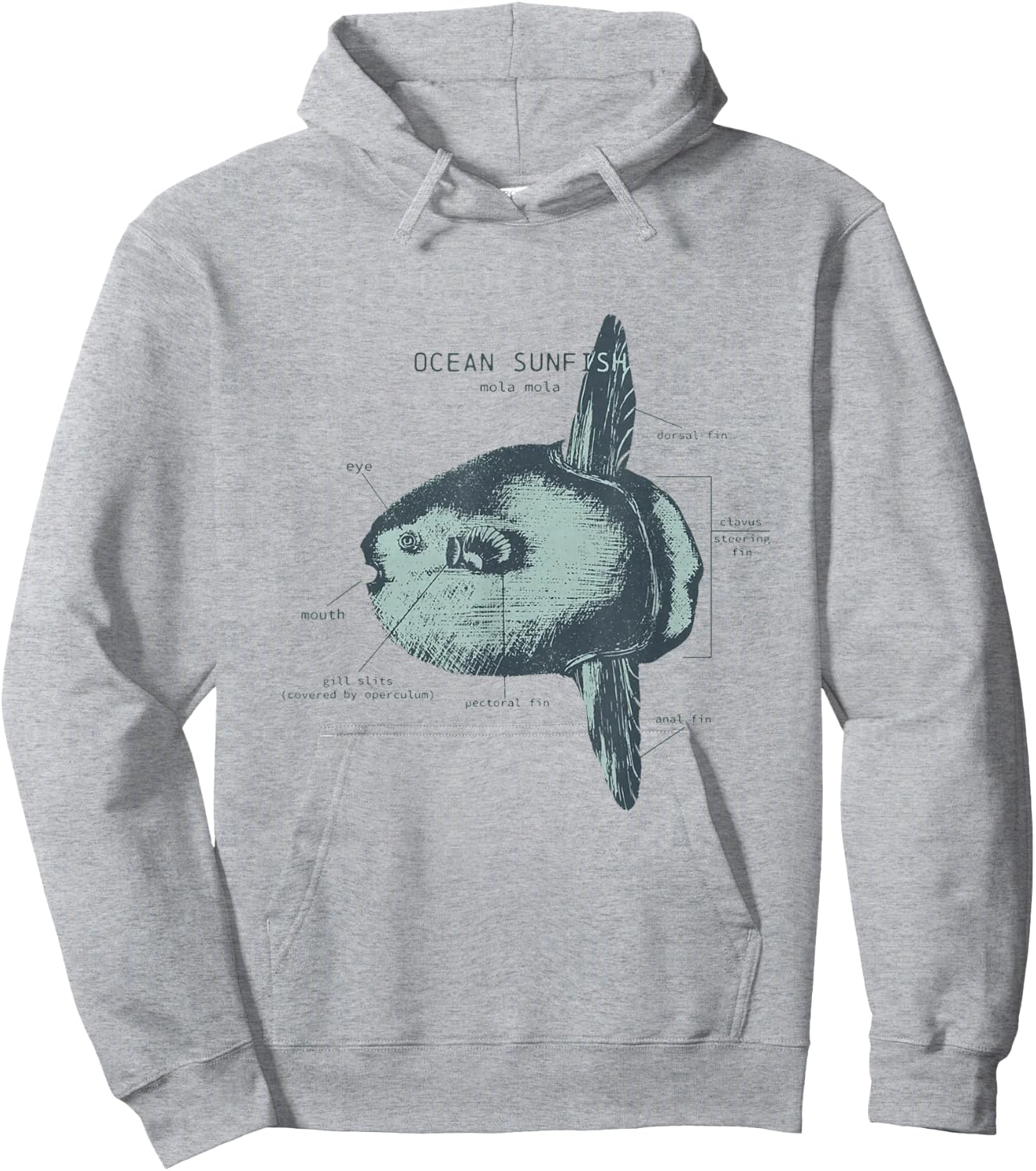 Ocean Sunfish Anatomy Marine Biologist Hoodie - Hoodie | Ash