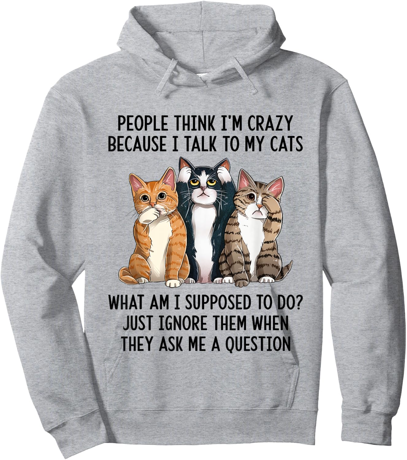 People Think I'm Crazy Because I Talk To My Cats Hoodie - Hoodie | Ash