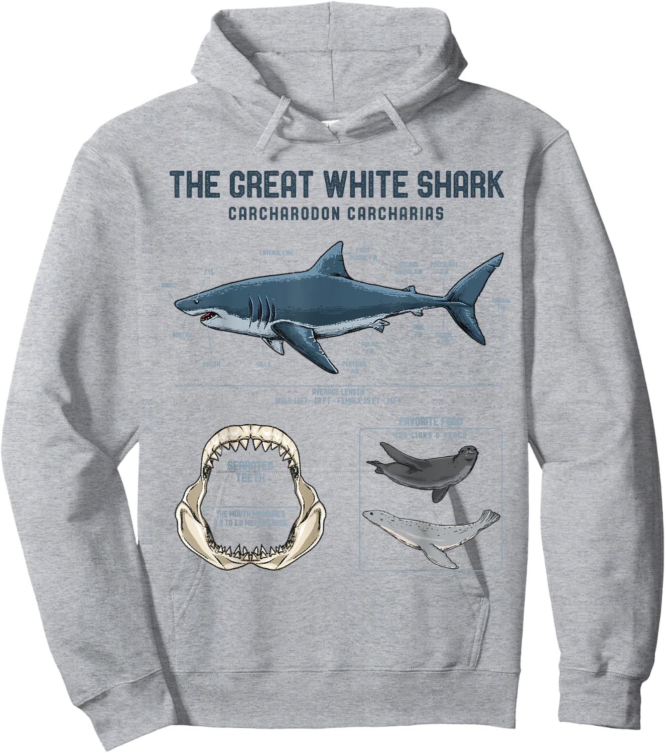 Great White Shark Anatomy Shirt - Shark Marine Biologist Hoodie - Hoodie | Ash