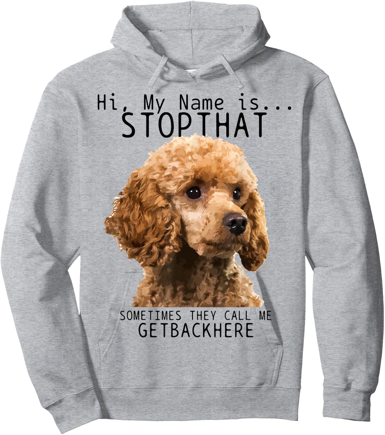 Poodle Hi My Name Is Stop That Cute Funny Dog Poodle Mom Hoodie - Hoodie | Ash
