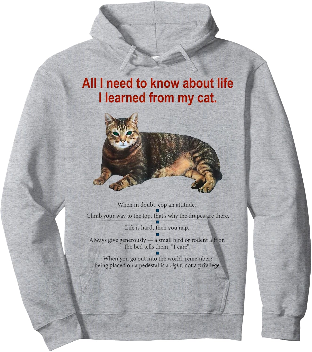 Everything I Need To Know About Life I Learned From My Cat Women Hoodie - Hoodie | Ash