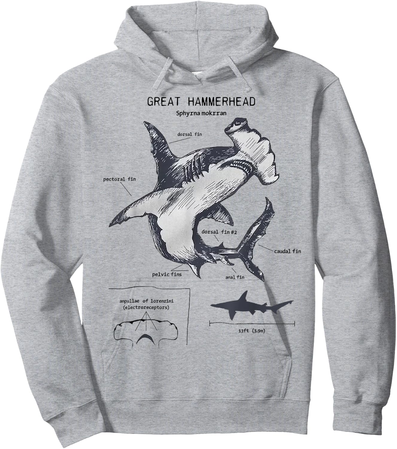 Great Hammerhead Anatomy Marine Biologist Hoodie - Hoodie | Ash