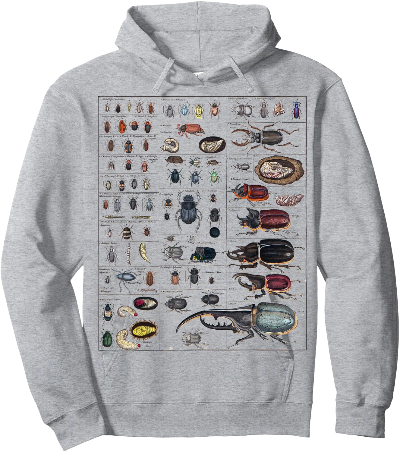 Insects Collection Species Bugs vintage Chart Entomology Hoodie - Hoodie | Ash