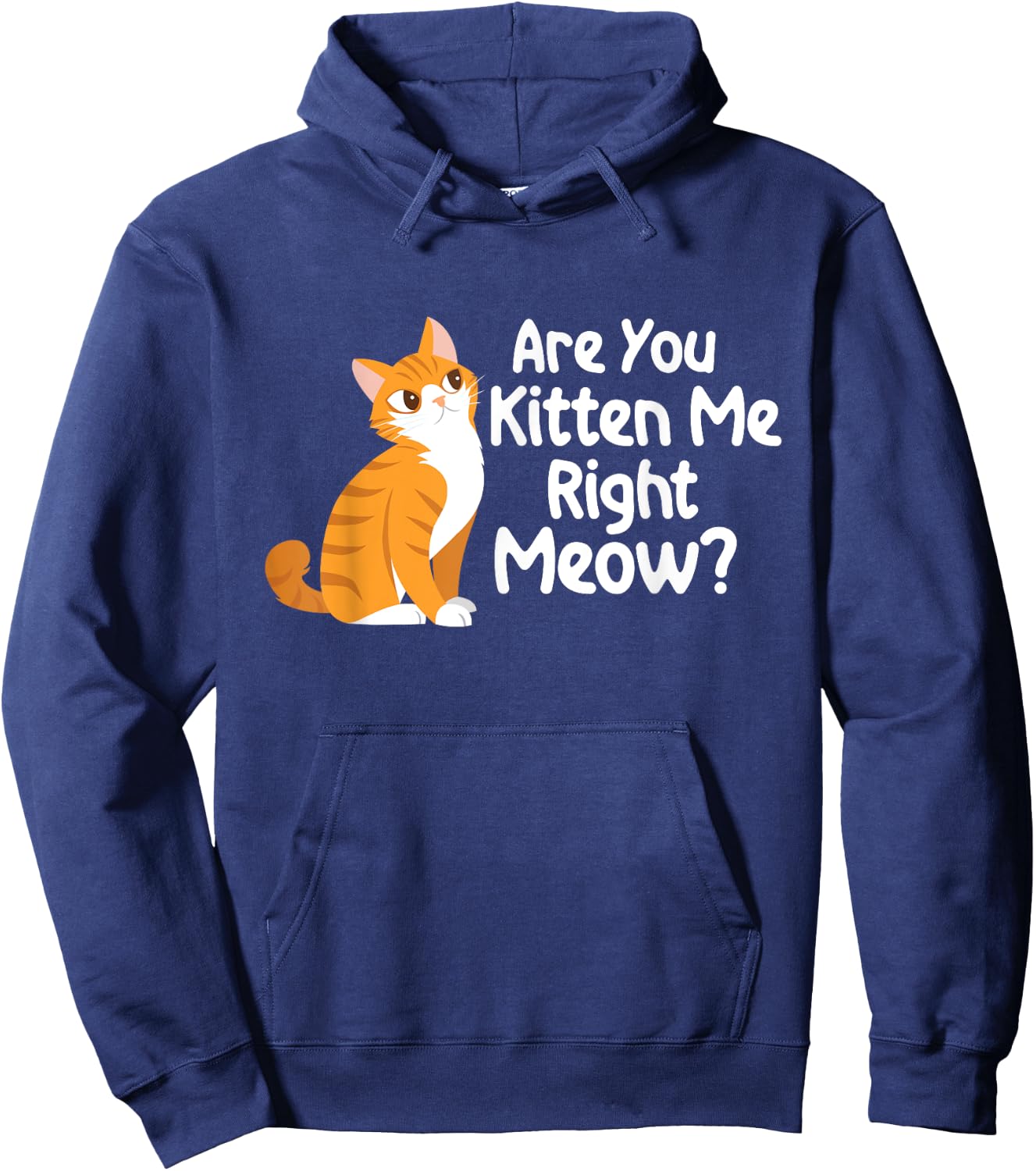 Are You Kitten Me Right Meow - Cat Lover Kitty Owner Hoodie - Hoodie | Navy