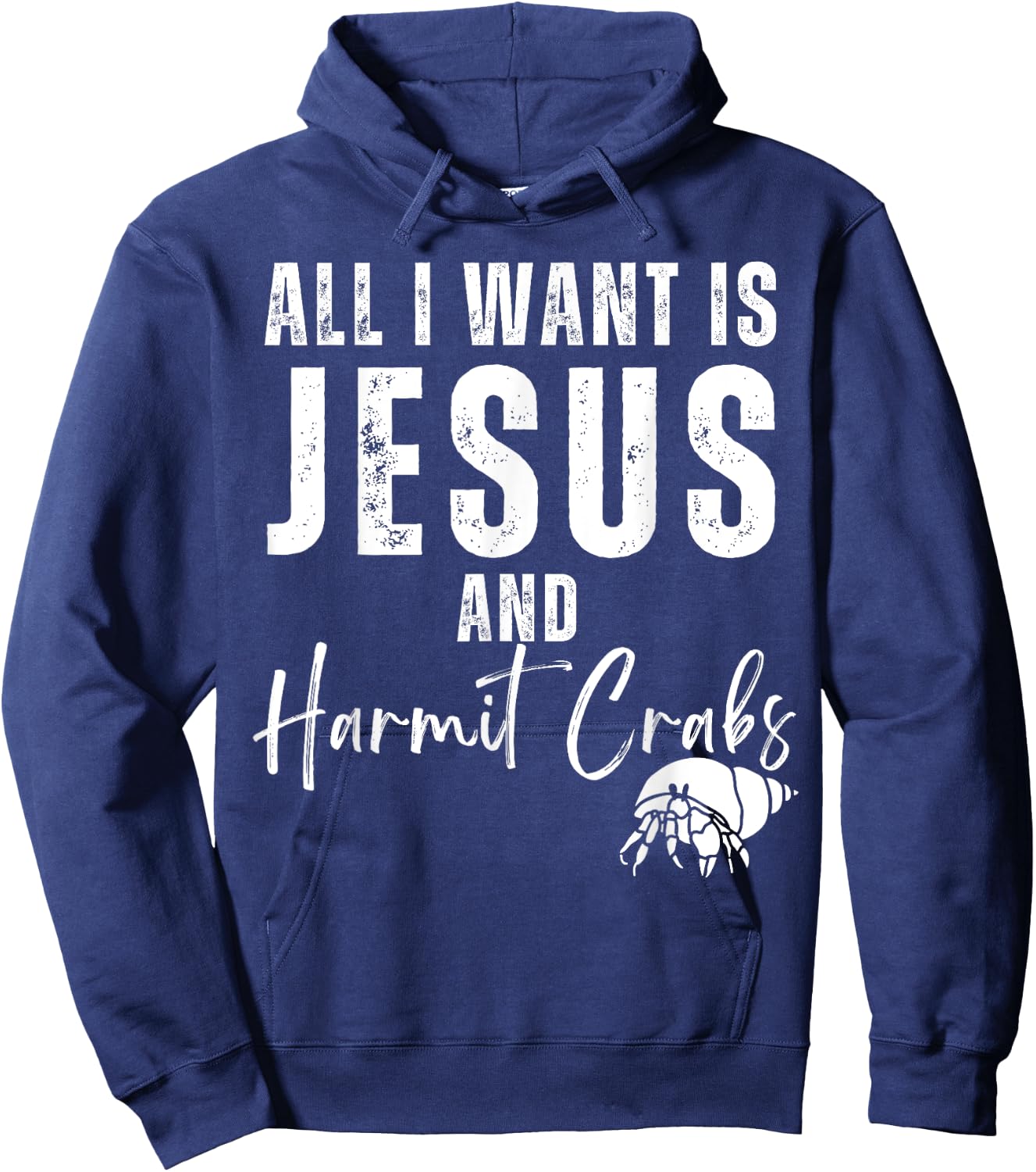 All I Want Is Jesus And Hermit Crabs Christian Humor Funny Hoodie - Hoodie | Navy