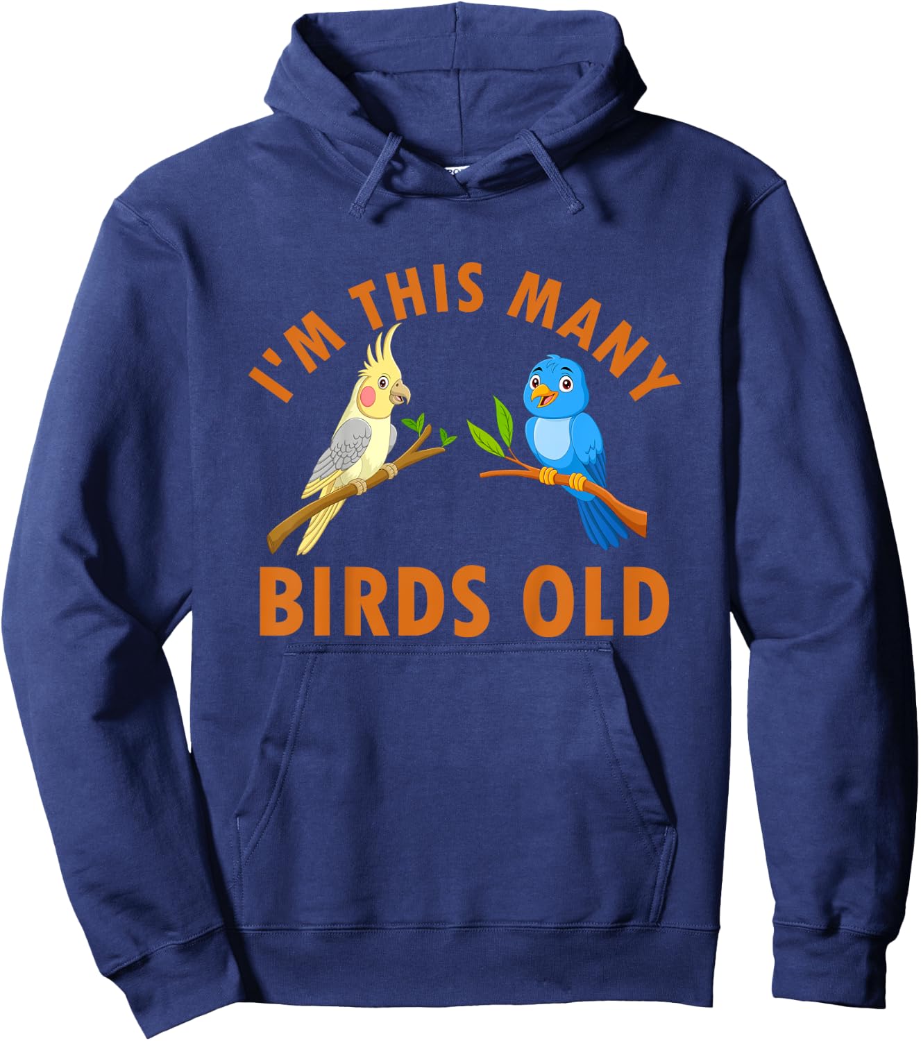 2 Year Old Birds Old 2nd Birthday Kids Hoodie - Hoodie | Navy