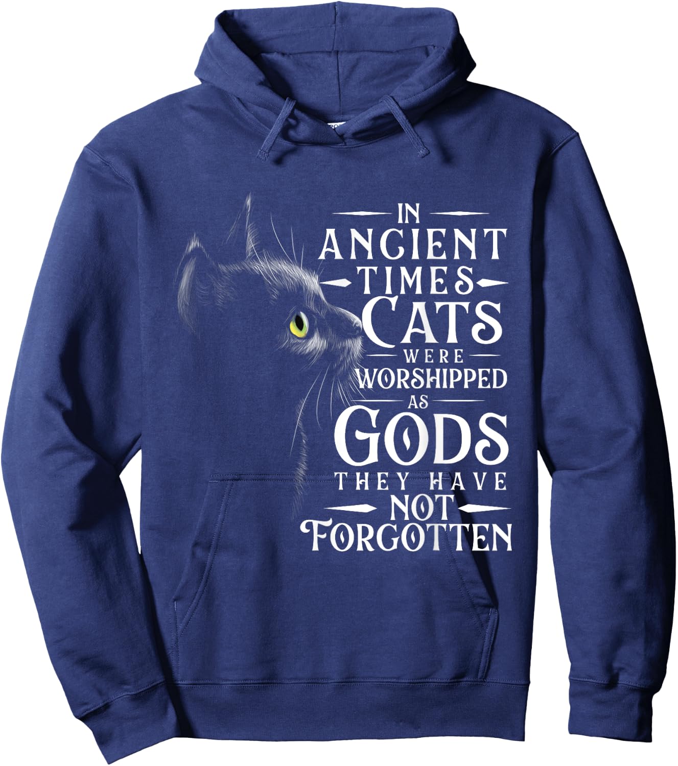 In Ancient Times Cats Were Worshipped As Gods - Pet Lover Hoodie - Hoodie | Navy