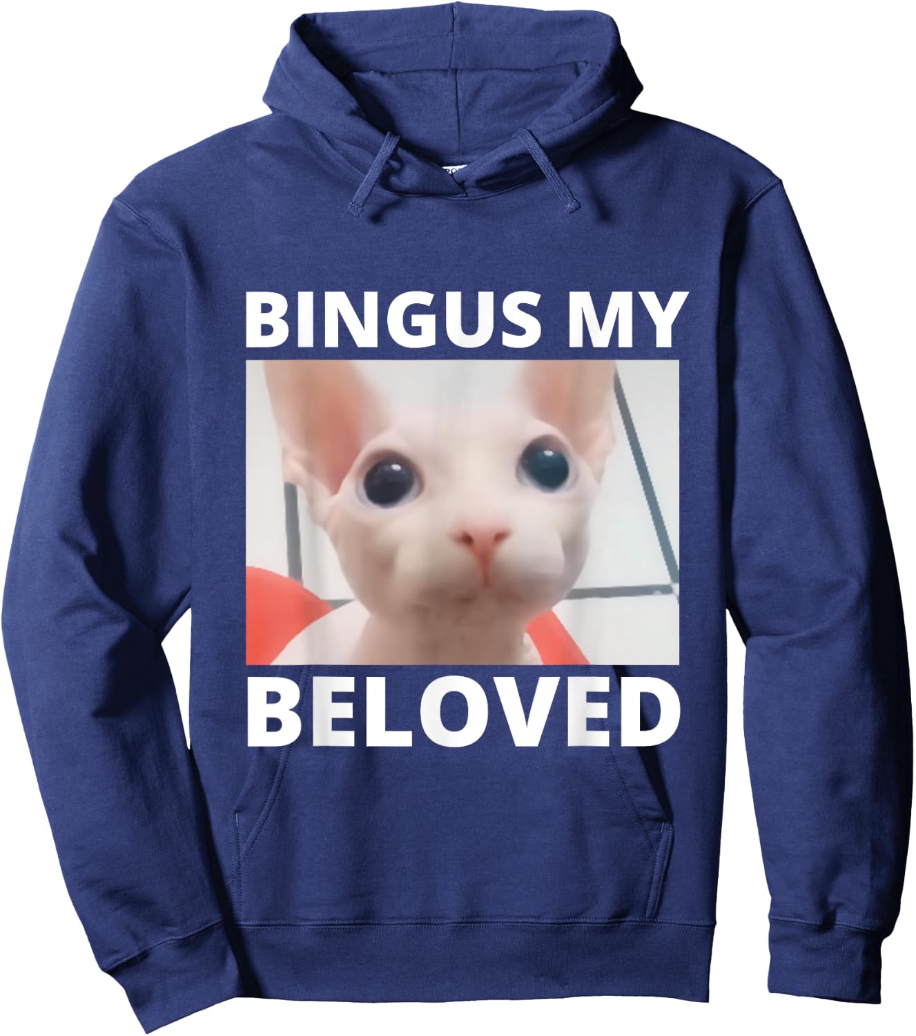 Funny Bingus My Beloved Hairless Sphinx Cat Bingus Cat Meme Men Women Girls Kids Hoodie - Hoodie | Navy