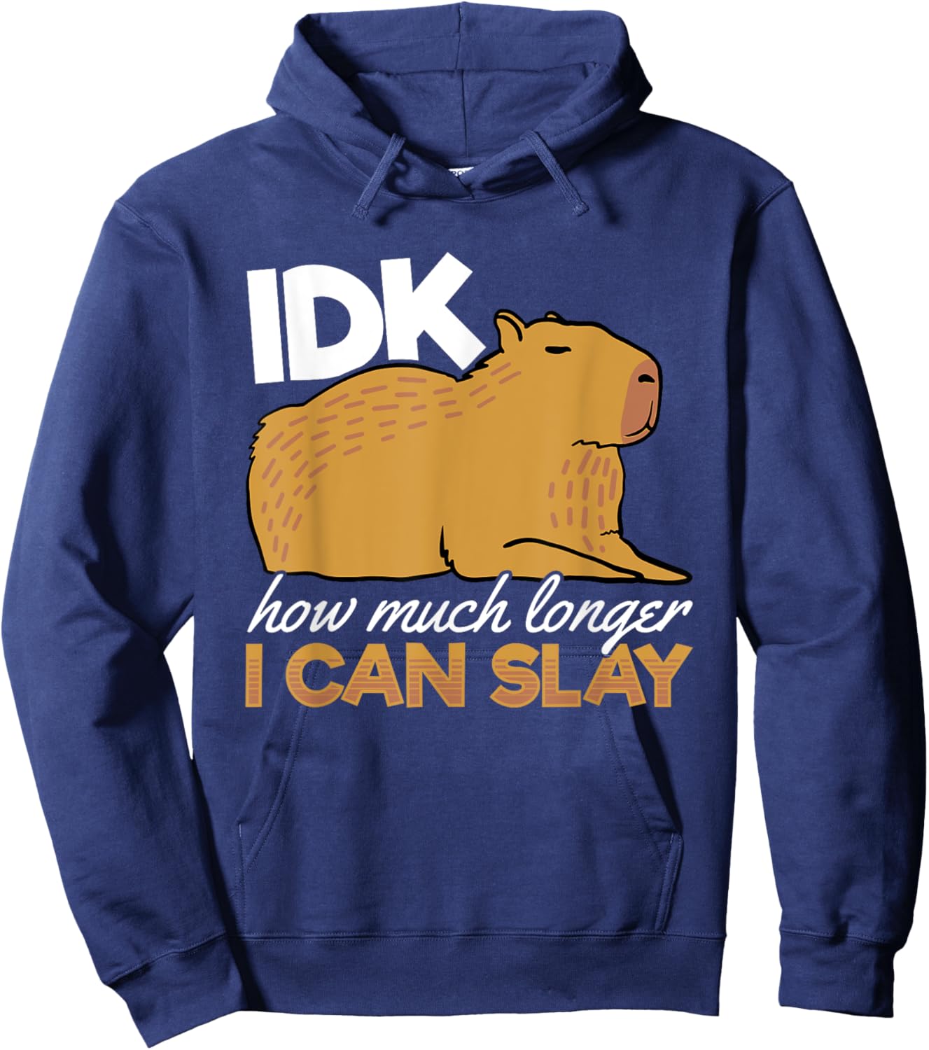 Capybara Animals Pet - idk How Much Longer I Can Slay Hoodie - Hoodie | Navy