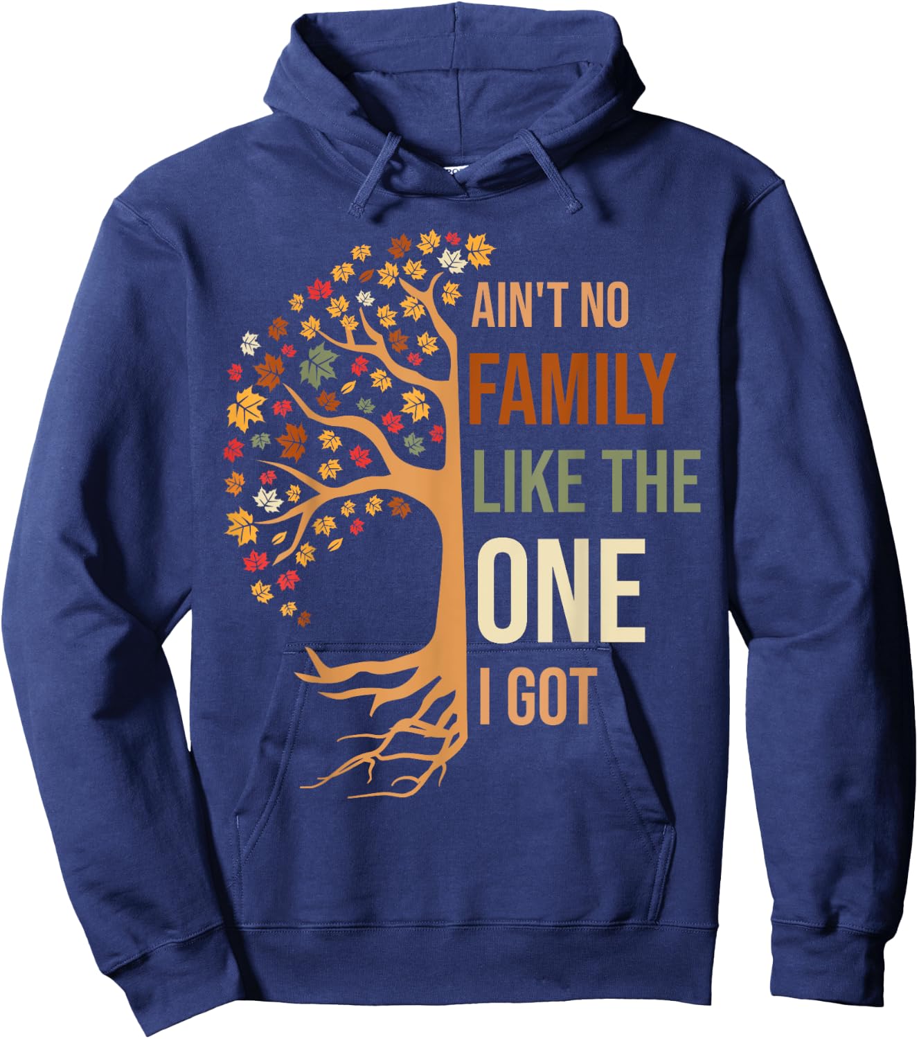 Ain't No Family Like The One I Got Funny Family Reunion 2024 Hoodie - Hoodie | Navy