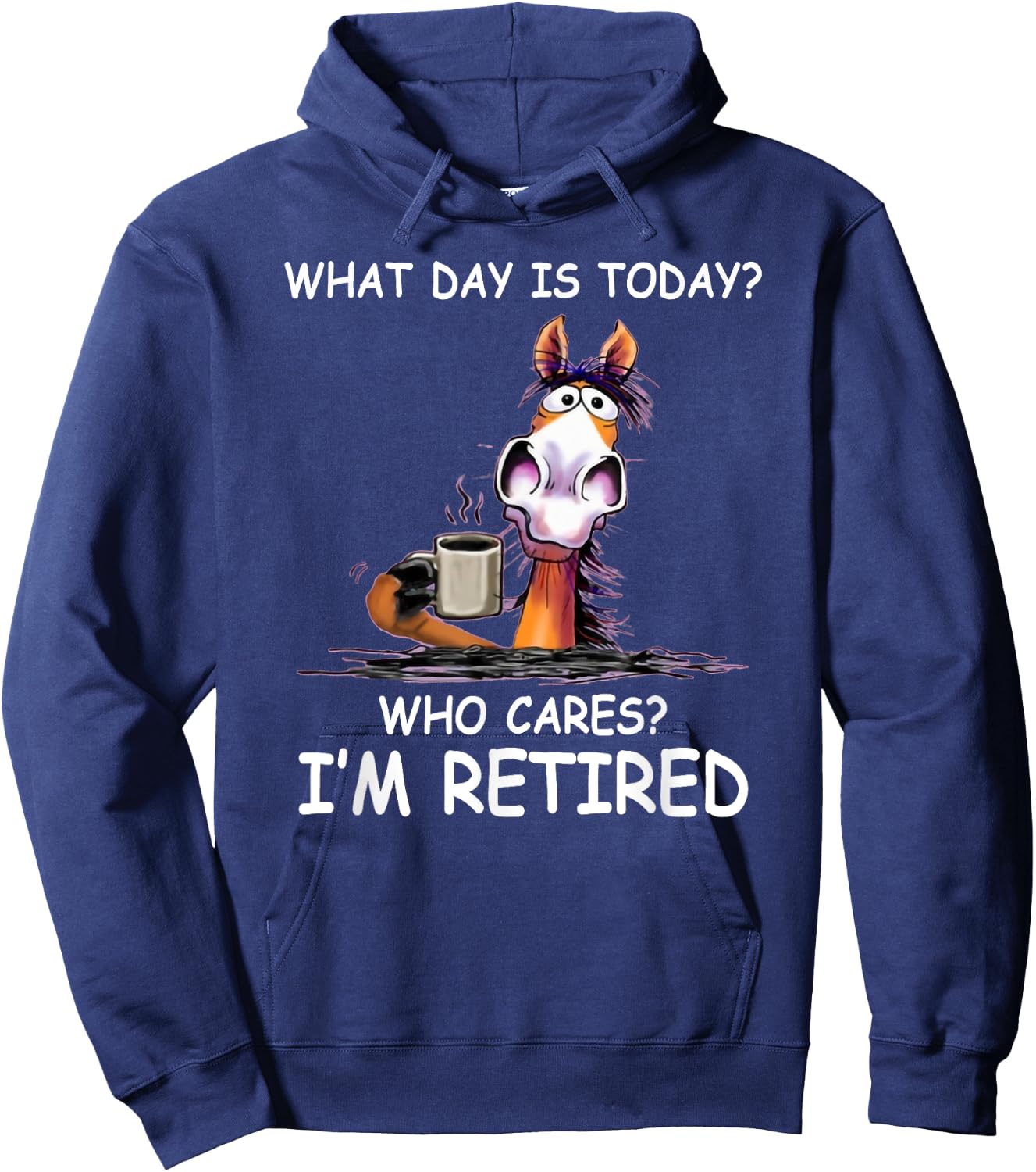 What Day is Today Who Cares I’m Retired Funny Horse Hoodie - Hoodie | Navy