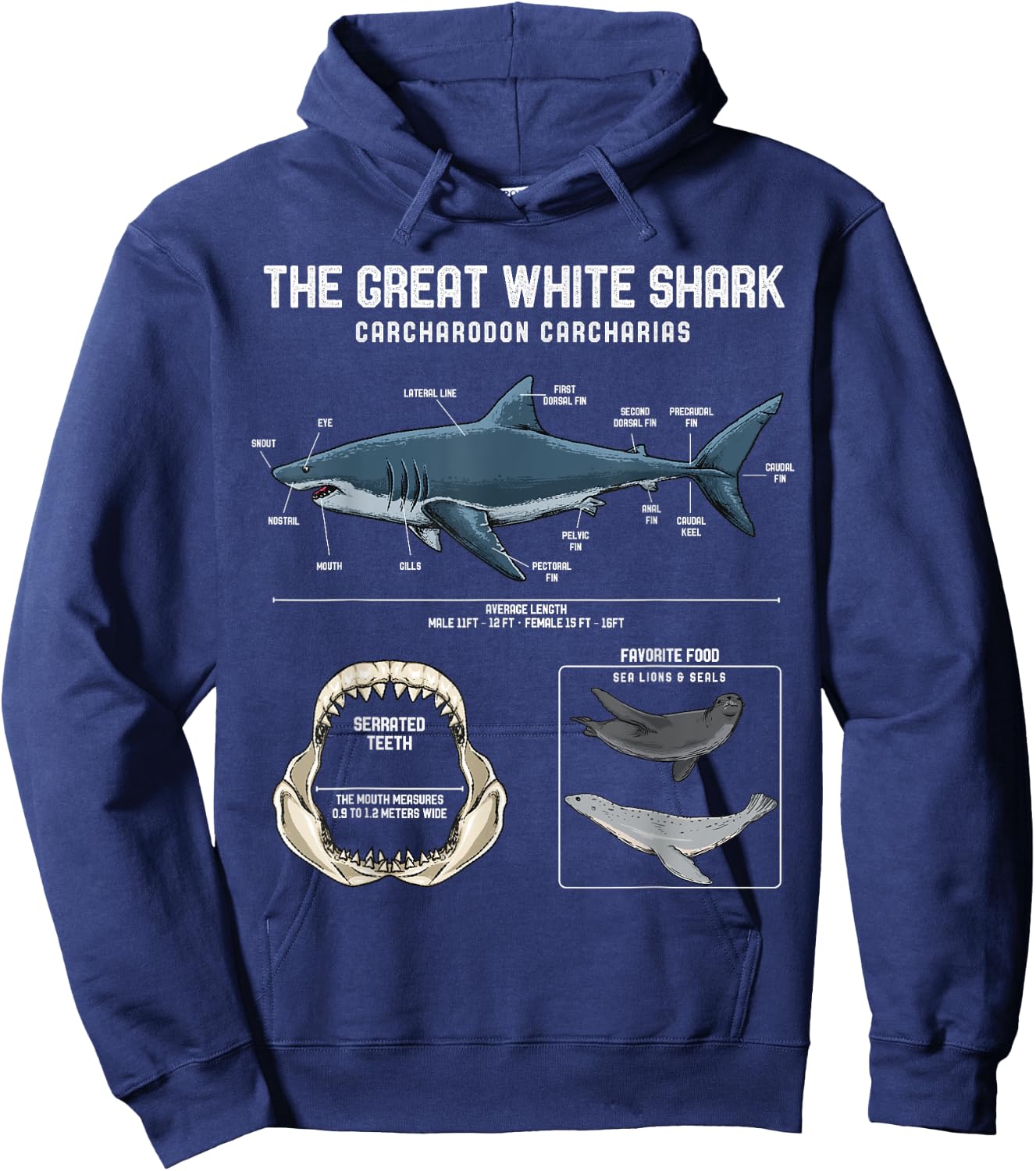 Great White Shark Anatomy Shirt - Shark Marine Biologist Hoodie - Hoodie | Navy
