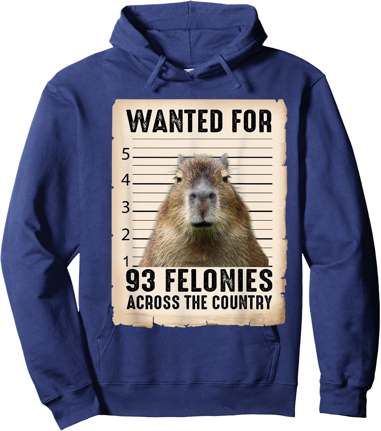 Capybara Gifts Wanted For 93 Felonies Across The Country Hoodie - Hoodie | Navy