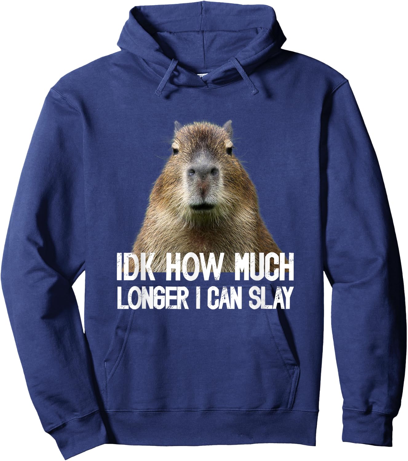 Idk How Much Longer I Can Slay Capybara Sarcastic Dank Meme Hoodie - Hoodie | Navy