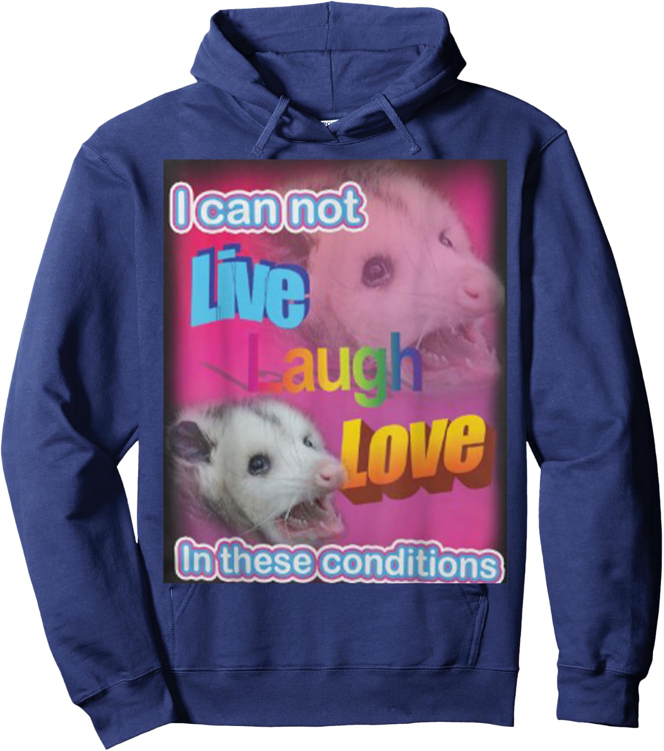 I can not live laugh love in these conditions Raccoon Hoodie - Hoodie | Navy