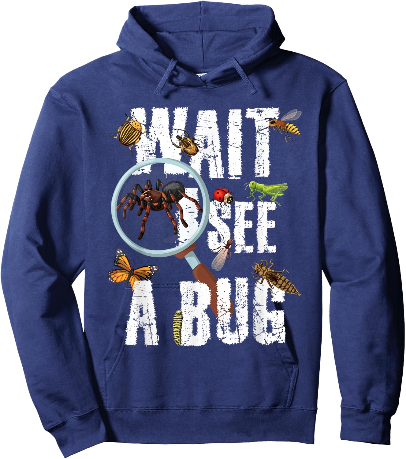 Insects of The World Bug Lover Expert Entomologist Bugs Fan Hoodie - Hoodie | Navy