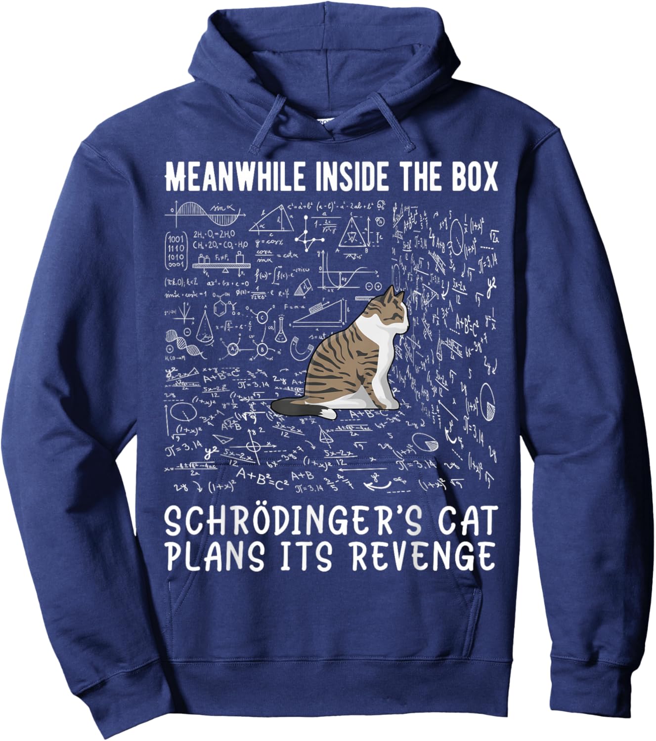 Meanwhile Inside The Box Schrödingers cat Plans its Revenge Hoodie - Hoodie | Navy