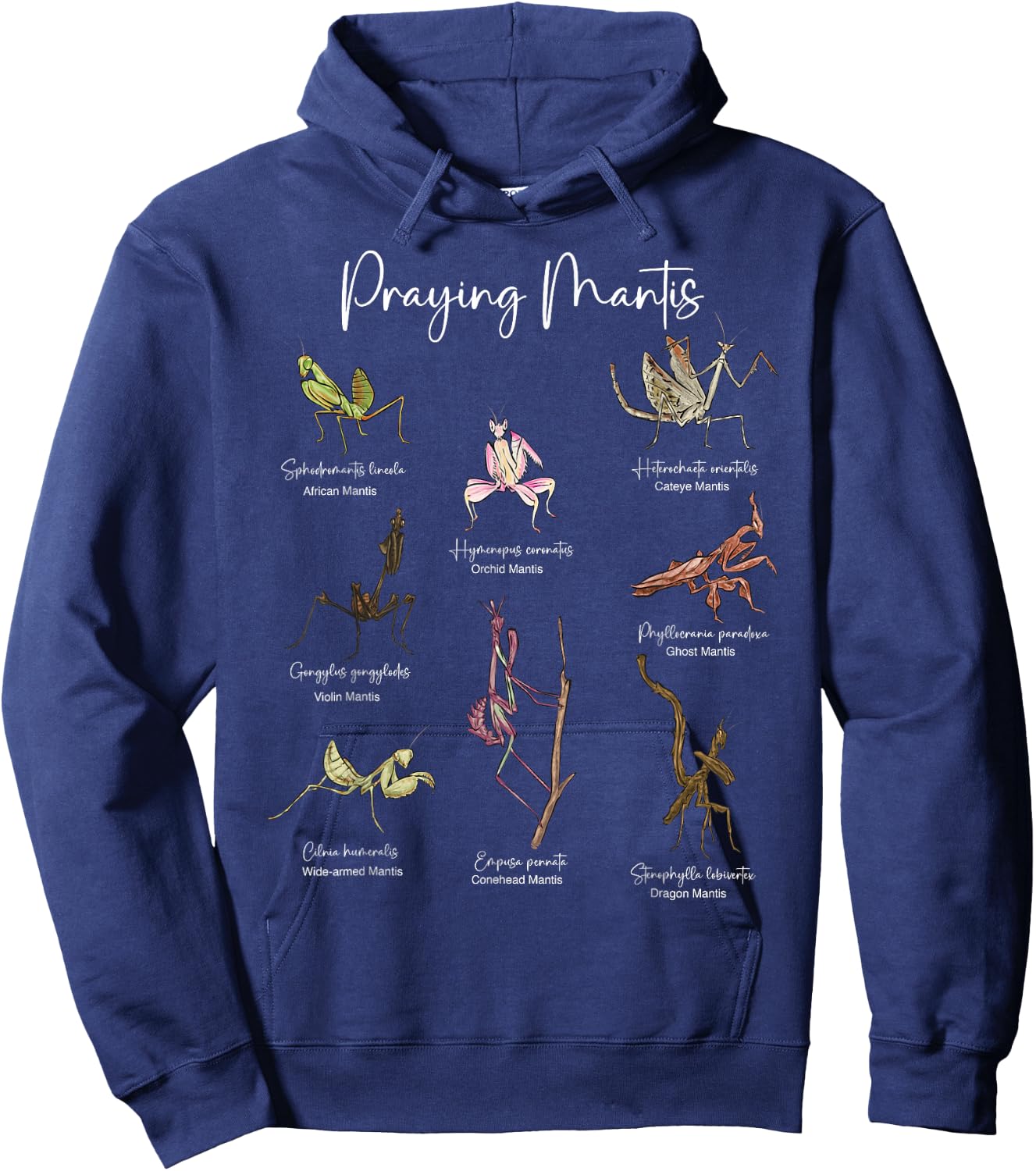 Types Of Praying Mantis Insect Collector Entomologist Hoodie - Hoodie | Navy