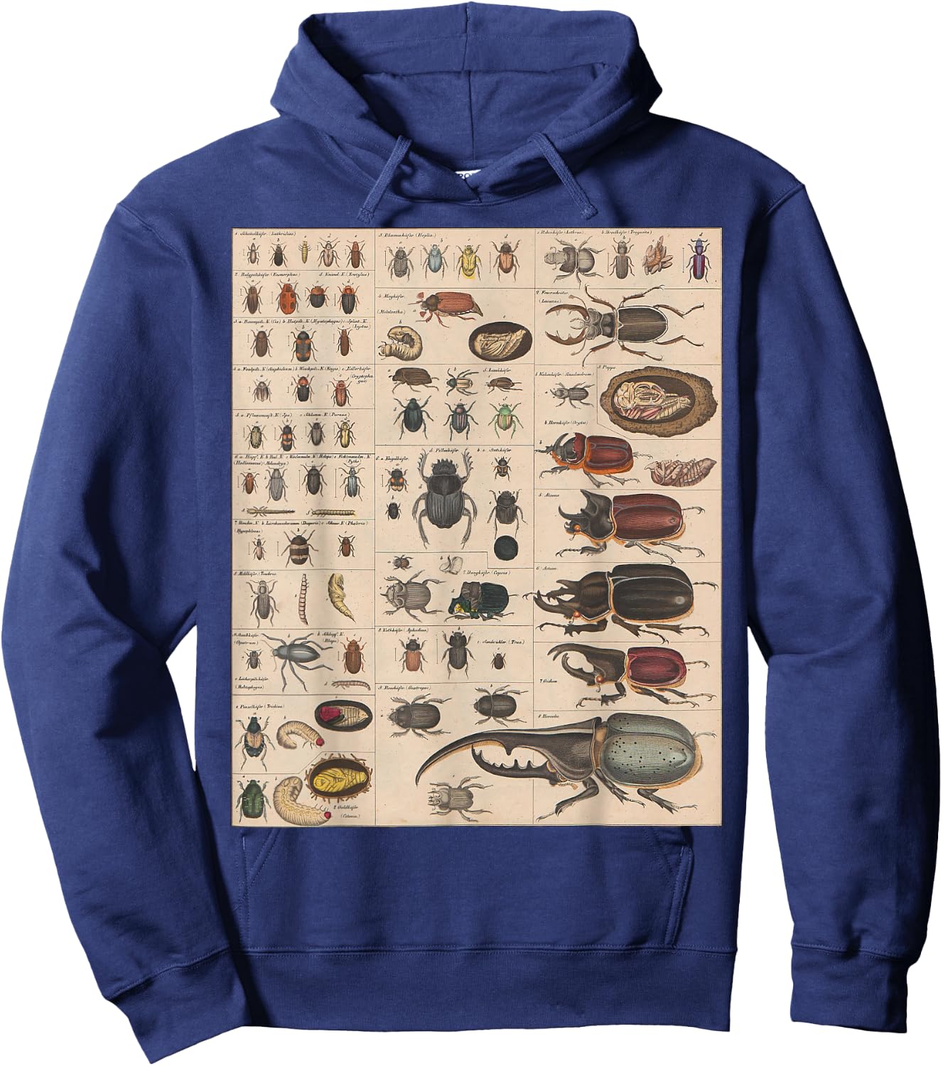 Insects Collection Species Bugs vintage Chart Entomology Hoodie - Hoodie | Navy