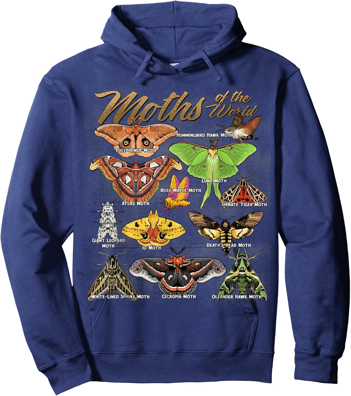 Moths Animals of The World Educational Insect Moth Lover Hoodie - Hoodie | Navy