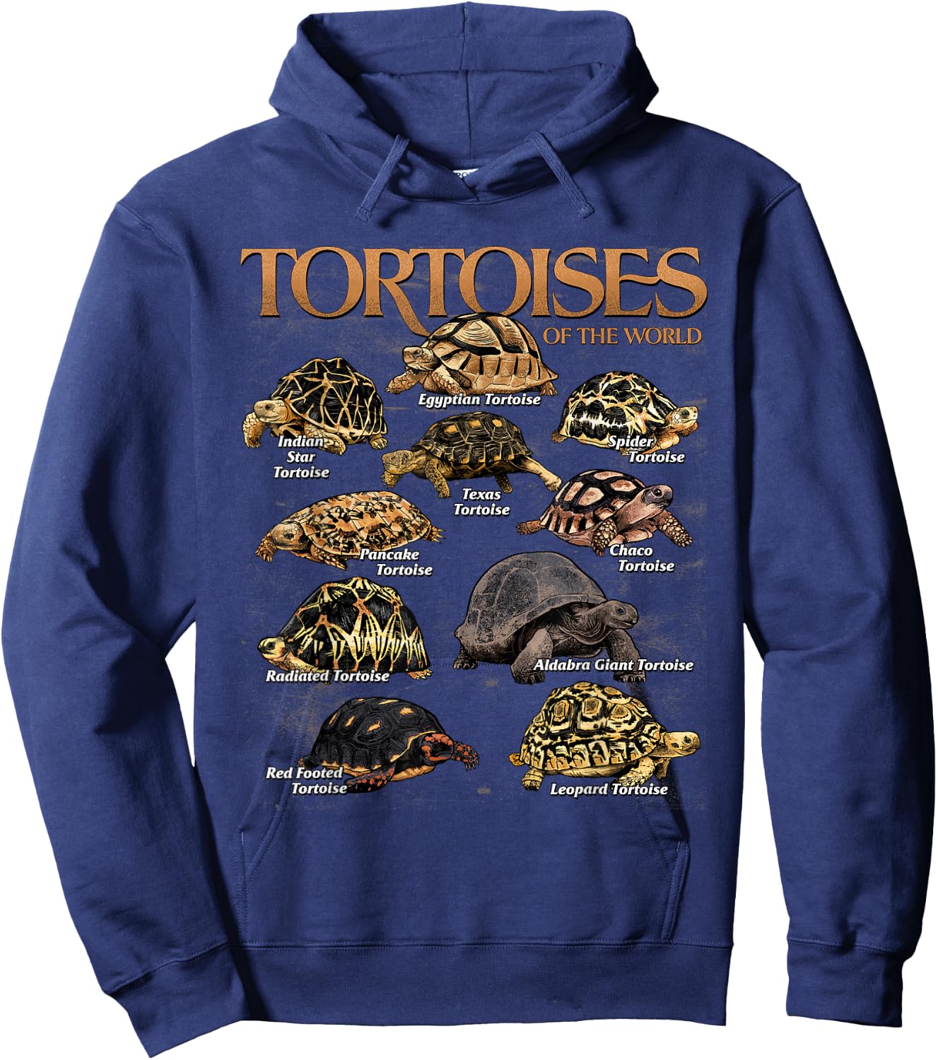 Tortoises Animals of The World Educational Sea Turtle Lover Hoodie - Hoodie | Navy