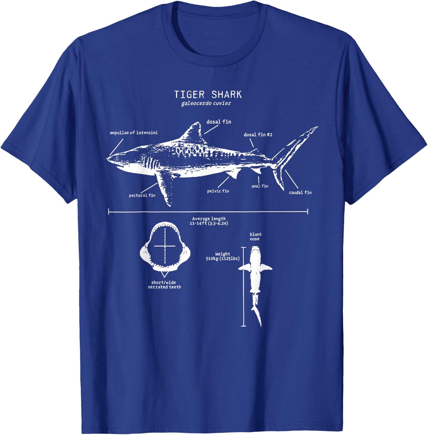 Tiger Shark Anatomy Marine Biologist T-Shirt - T-Shirt | Royal
