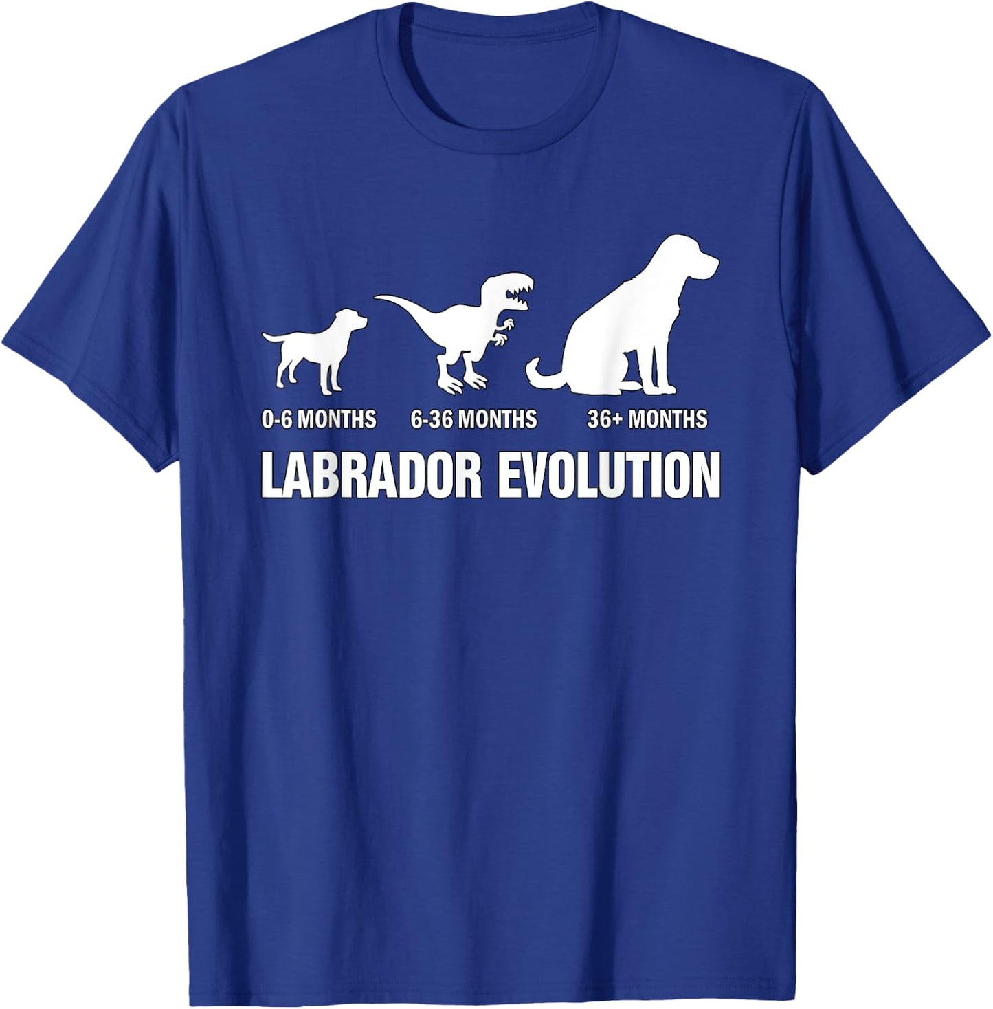 Labrador Retriever Evolution Dog Funny Saying T-Shirt - T-Shirt | Royal