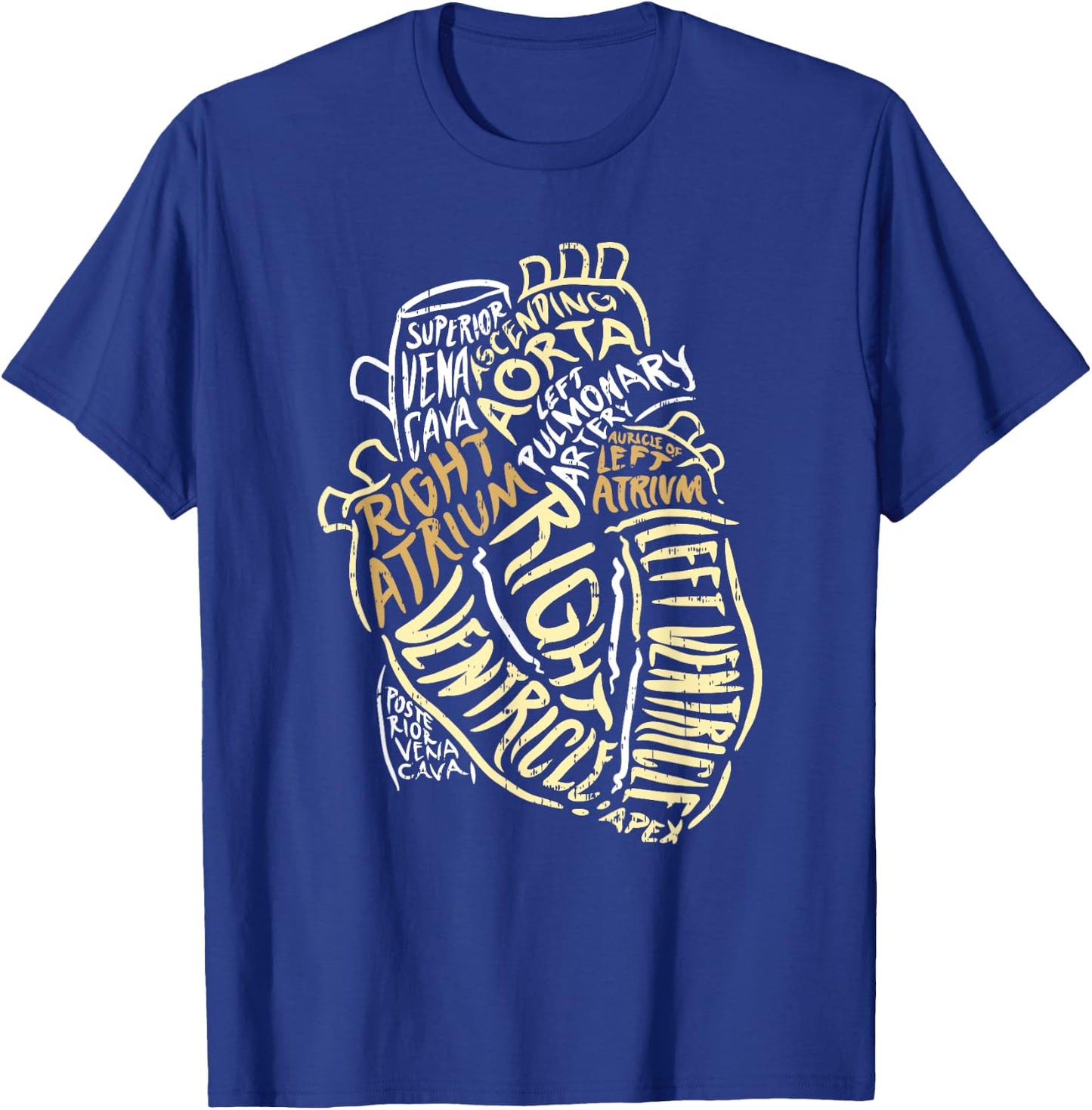 Heart Specialist Anatomy Doctor Medical Biology Organ Artery T-Shirt - T-Shirt | Royal