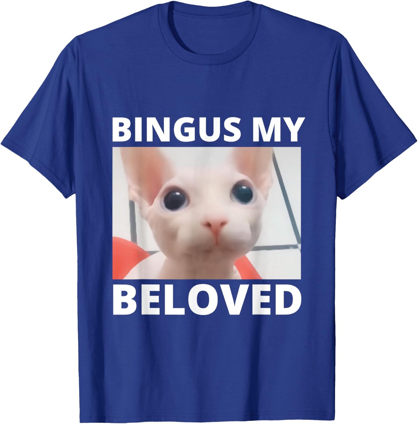 Funny Bingus My Beloved Hairless Sphinx Cat Bingus Cat Meme Men Women Girls Kids T-Shirt - T-Shirt | Royal