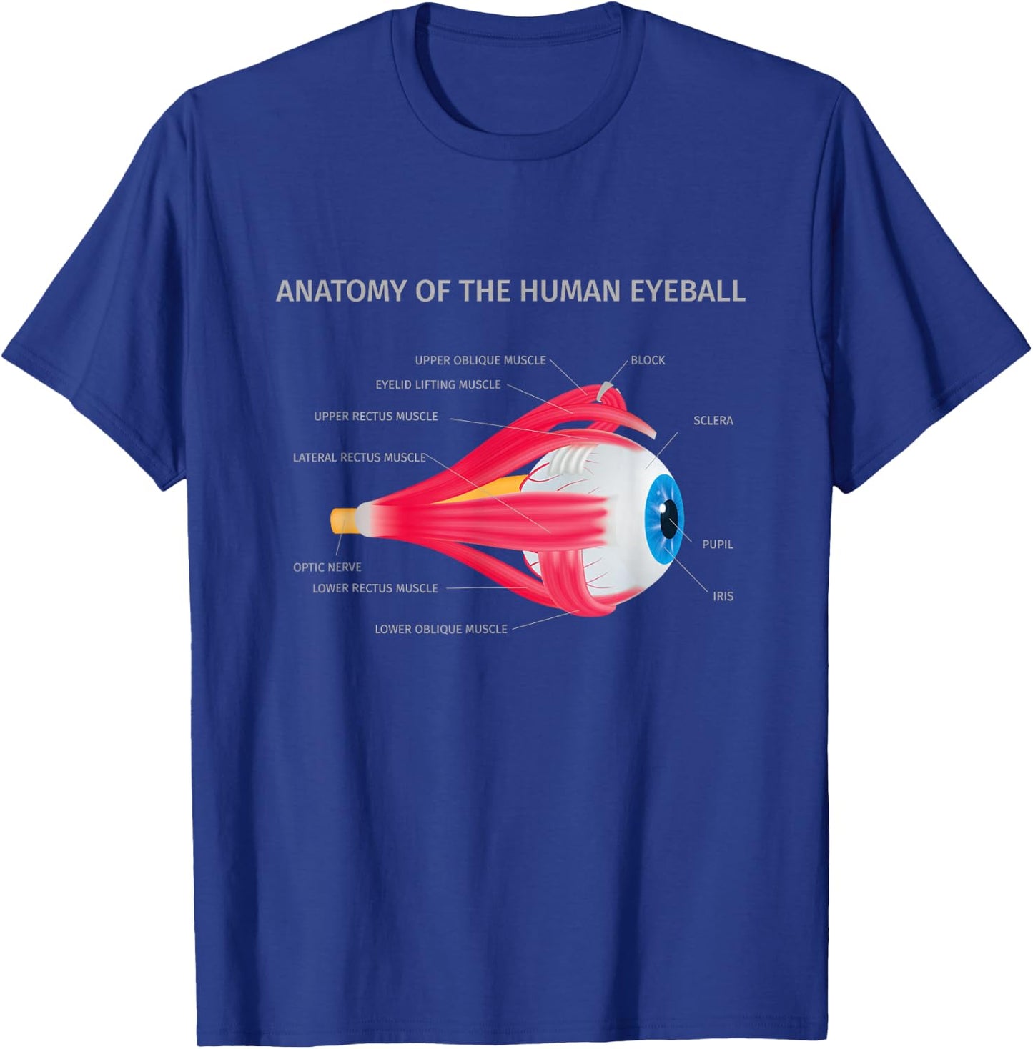 Anatomy of Human Eyeball for Medic T-Shirt - T-Shirt | Royal