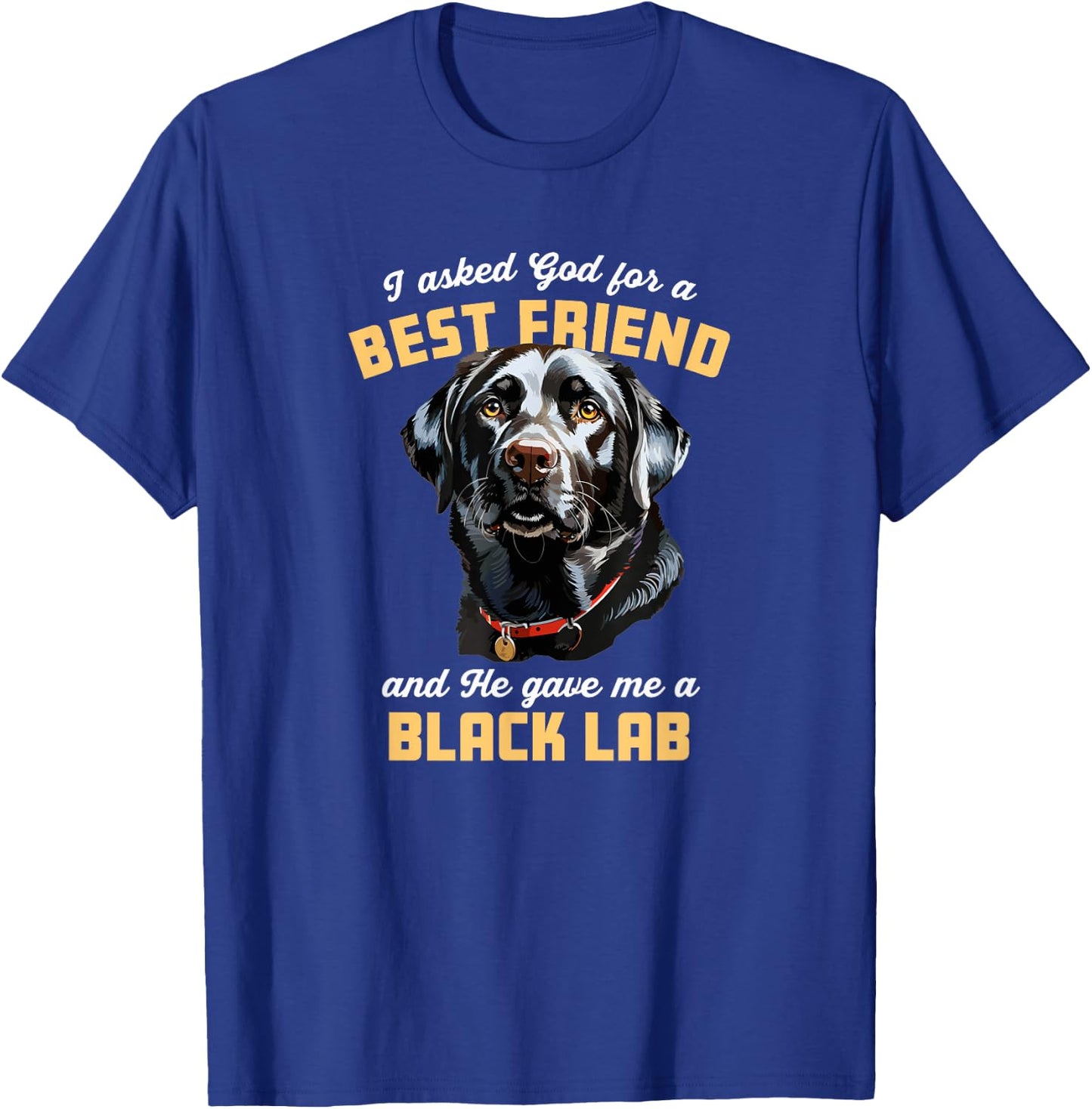I Asked God For a Best Friend He Gave Me a Black Lab Dog Mom Men Women Girls Kids T-Shirt - T-Shirt | Royal