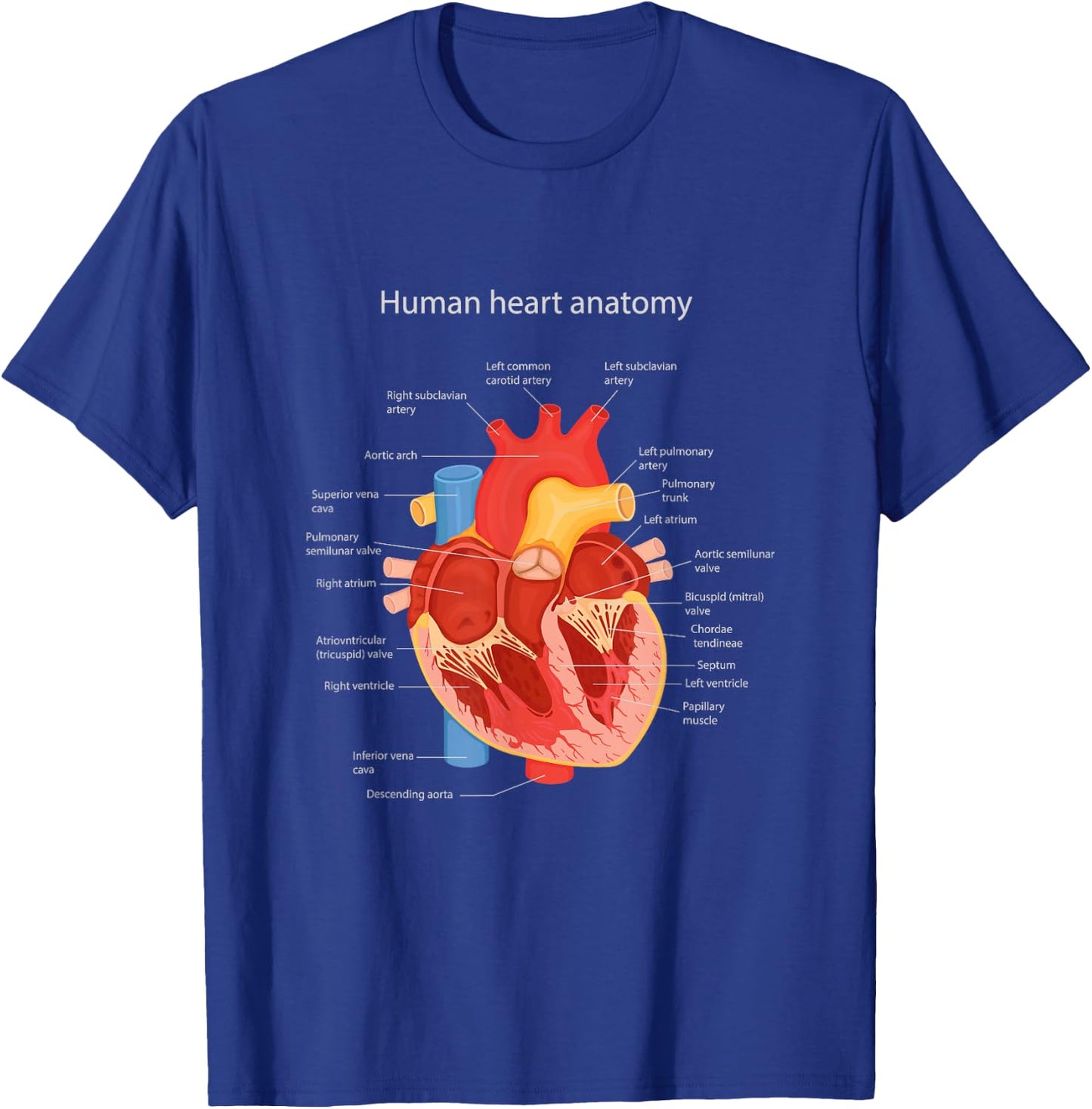 Anatomy of Human Heart for Medic T-Shirt - T-Shirt | Royal