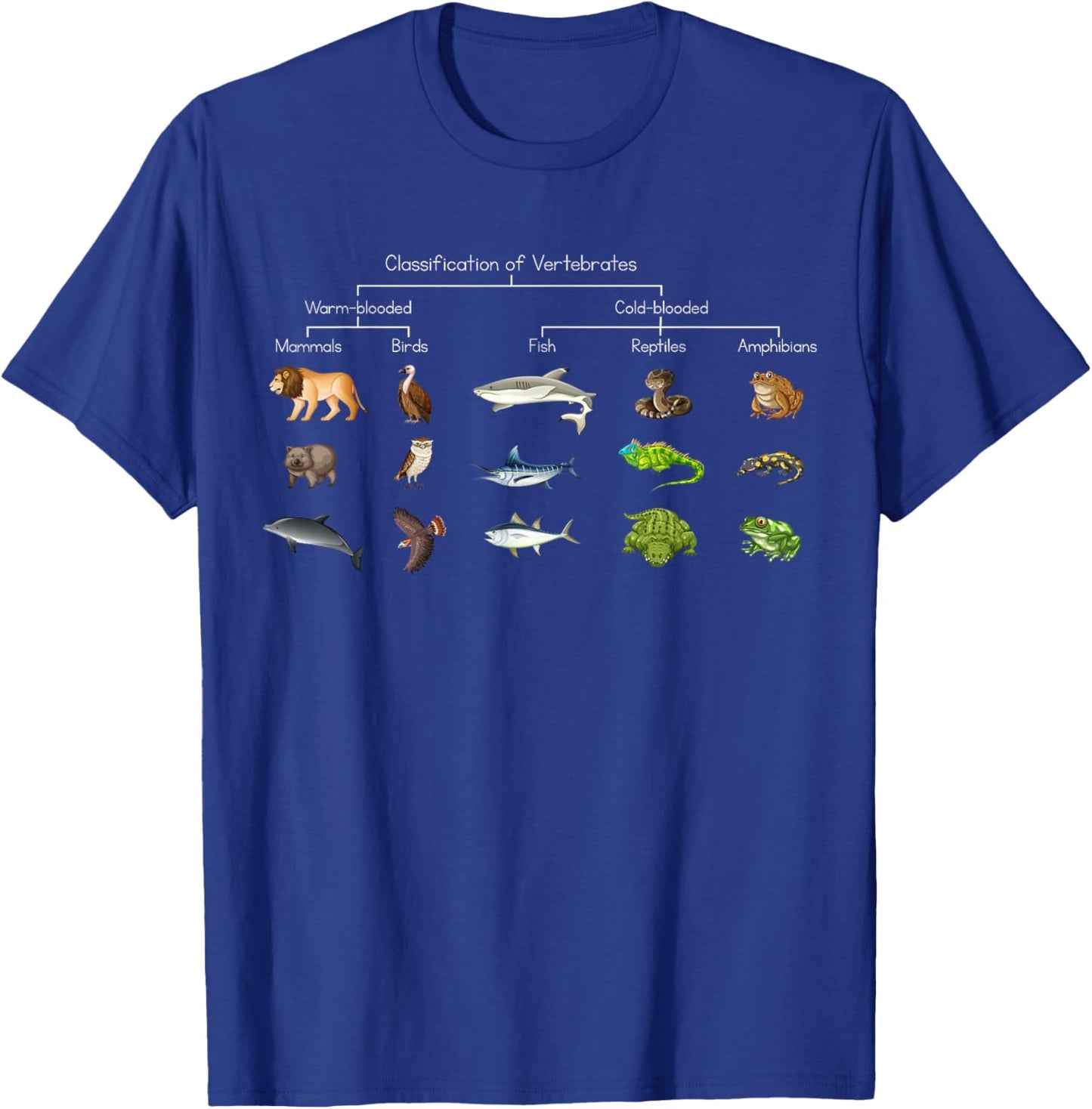 Diagram showing Classification of Vertebrates lover animals T-Shirt - T-Shirt | Royal