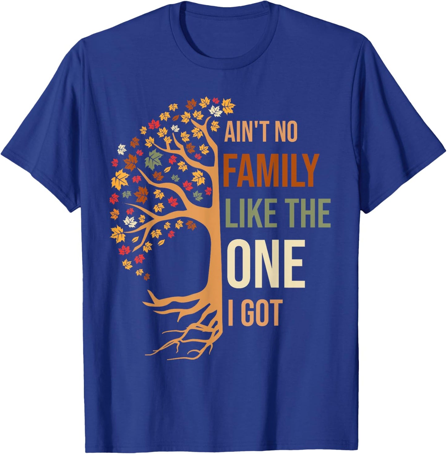Ain't No Family Like The One I Got Funny Family Reunion 2024 T-Shirt - T-Shirt | Royal